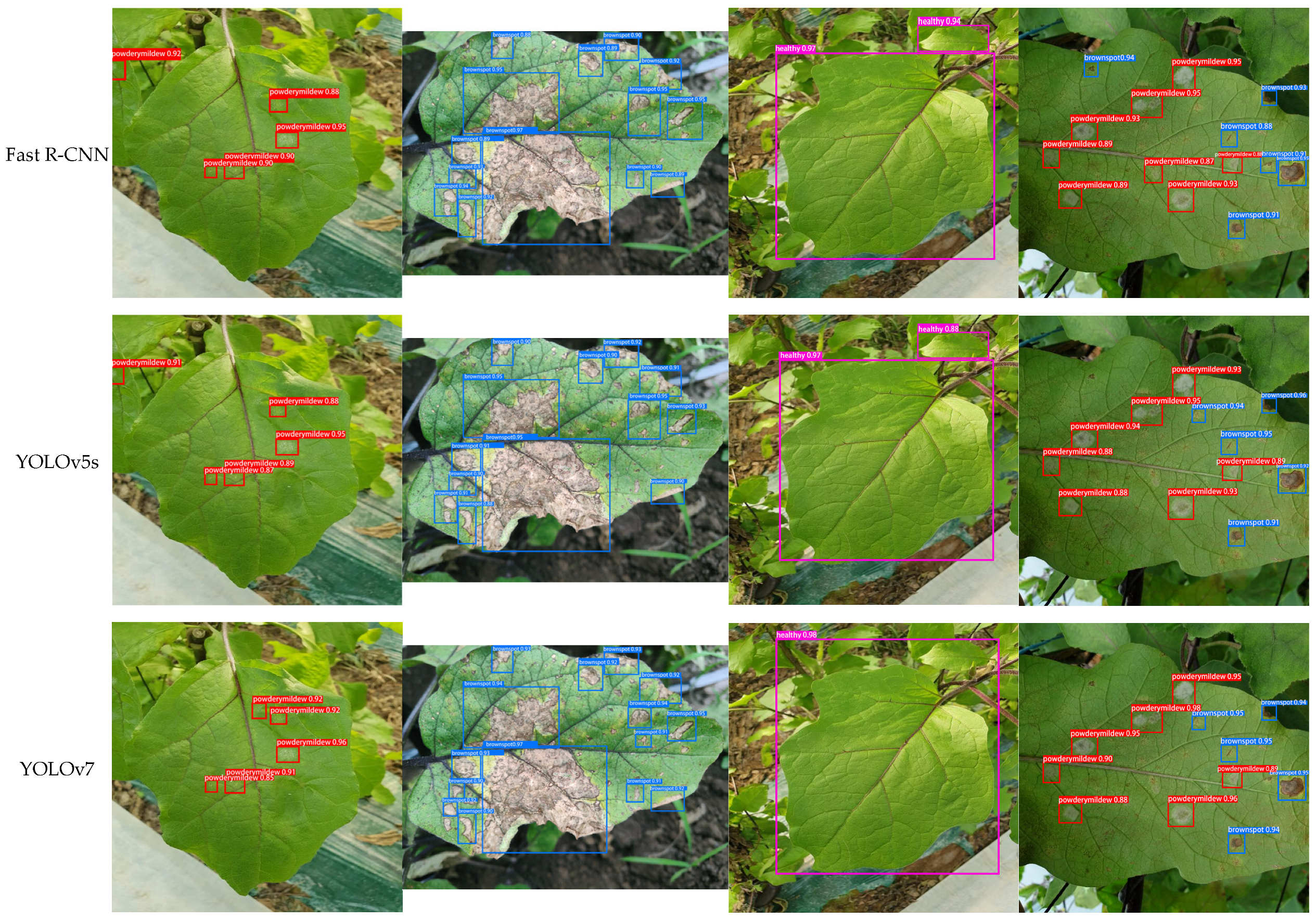 Plants 13 02303 g021a