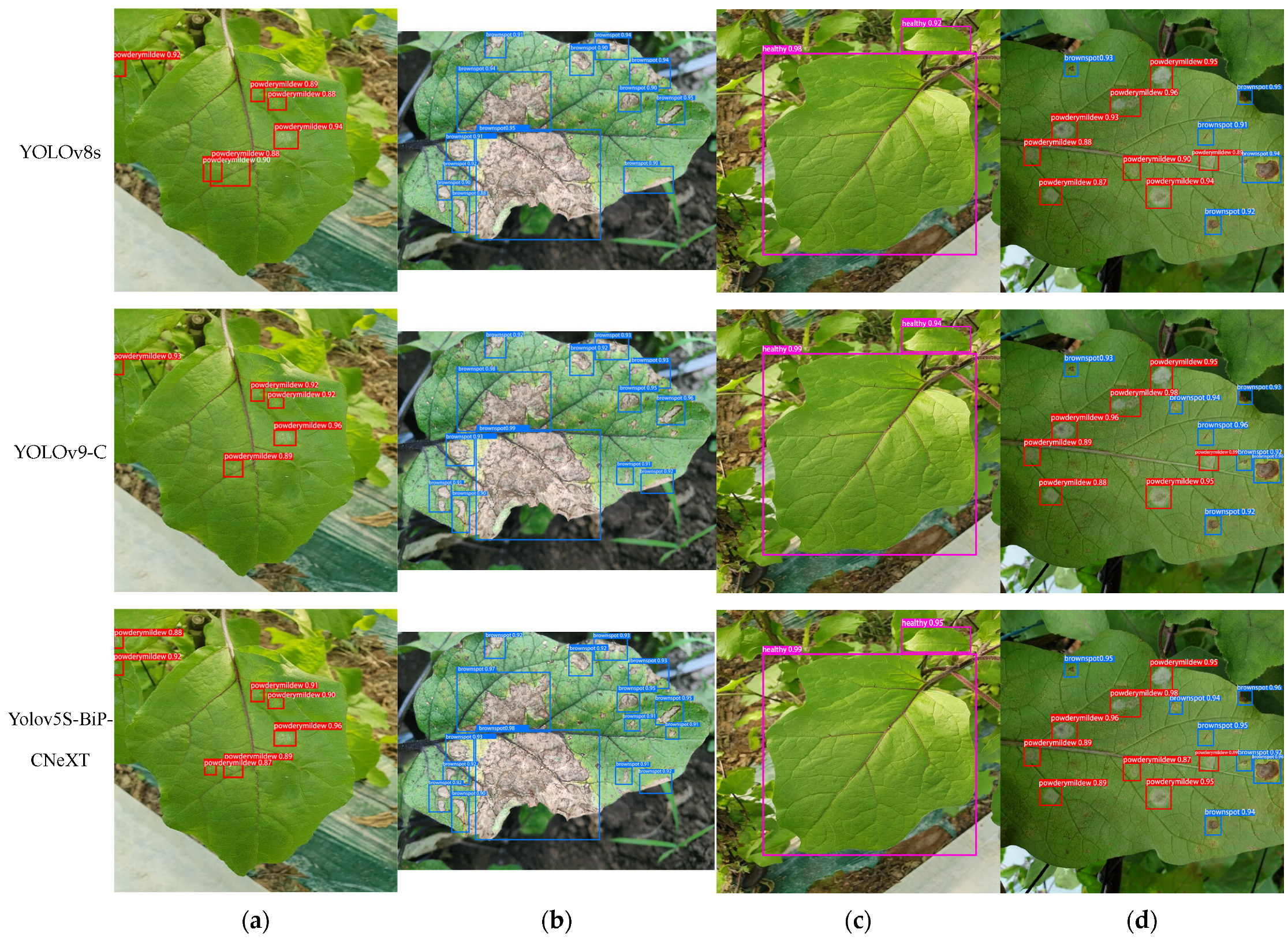 Plants 13 02303 g021b