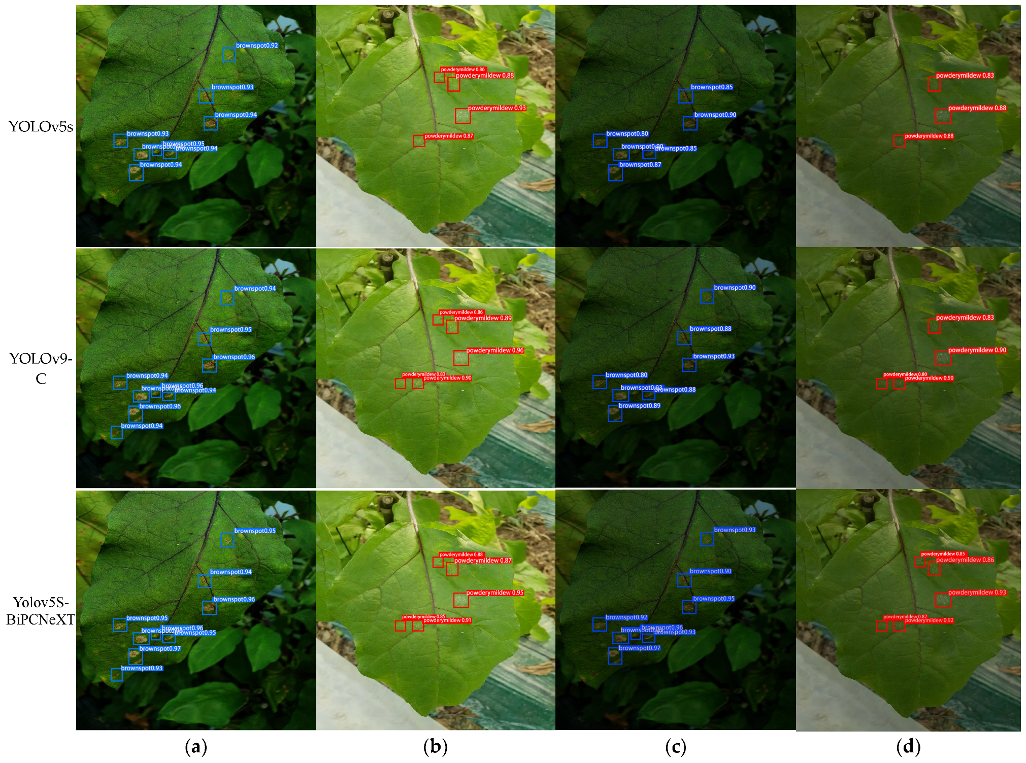 Plants 13 02303 g022