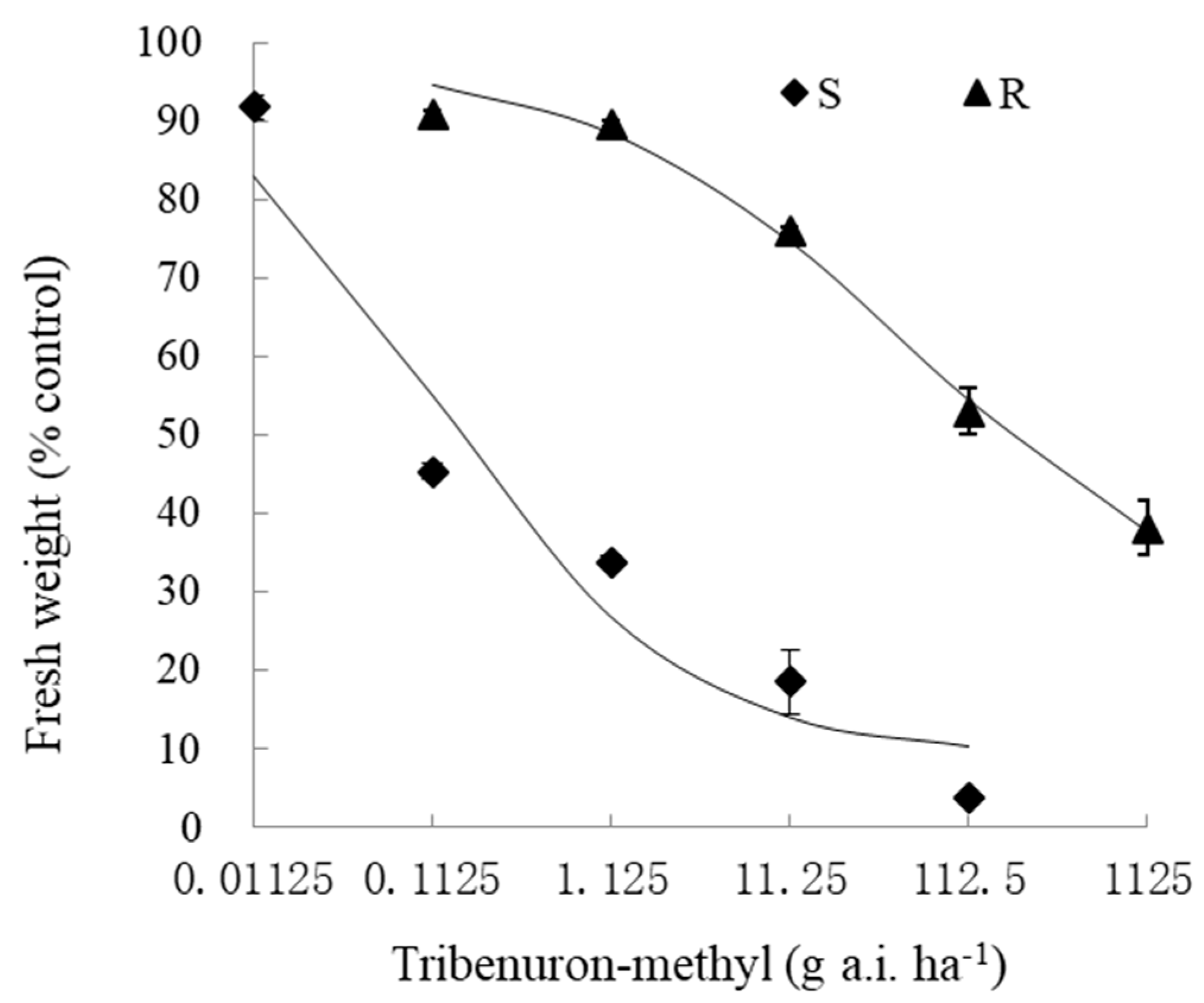 Plants 13 02305 g001