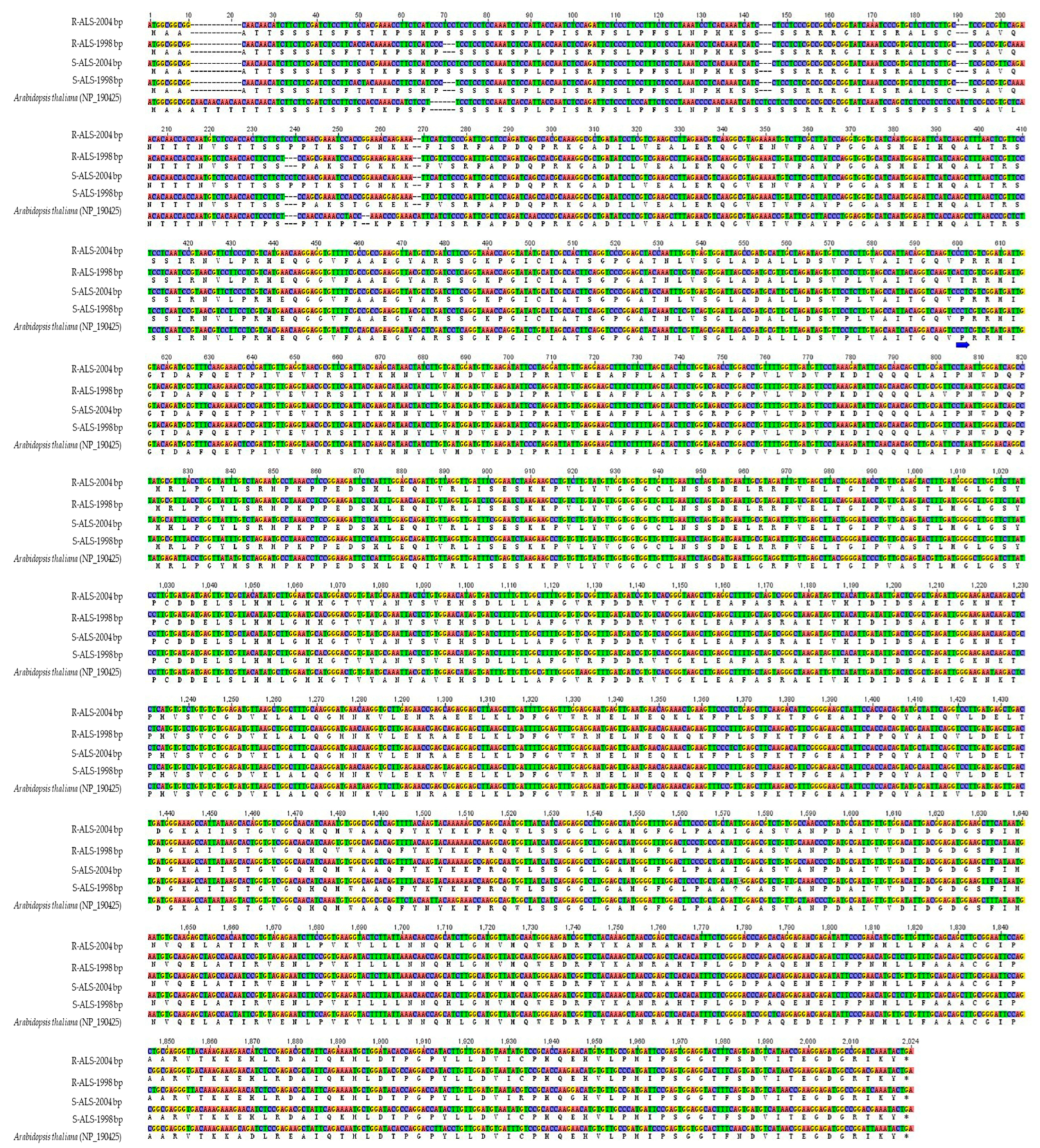 Plants 13 02305 g002