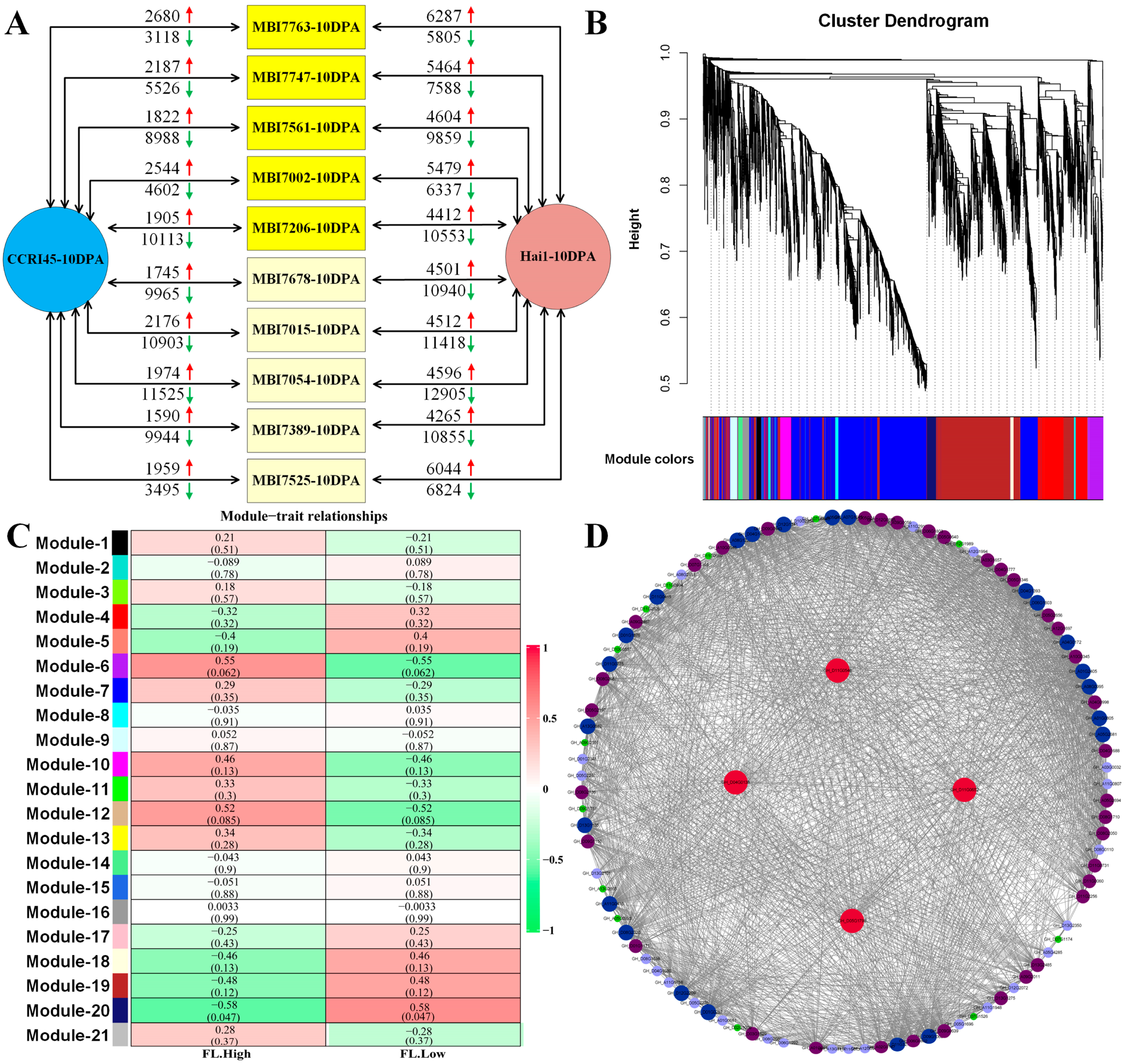 Plants 13 02308 g002