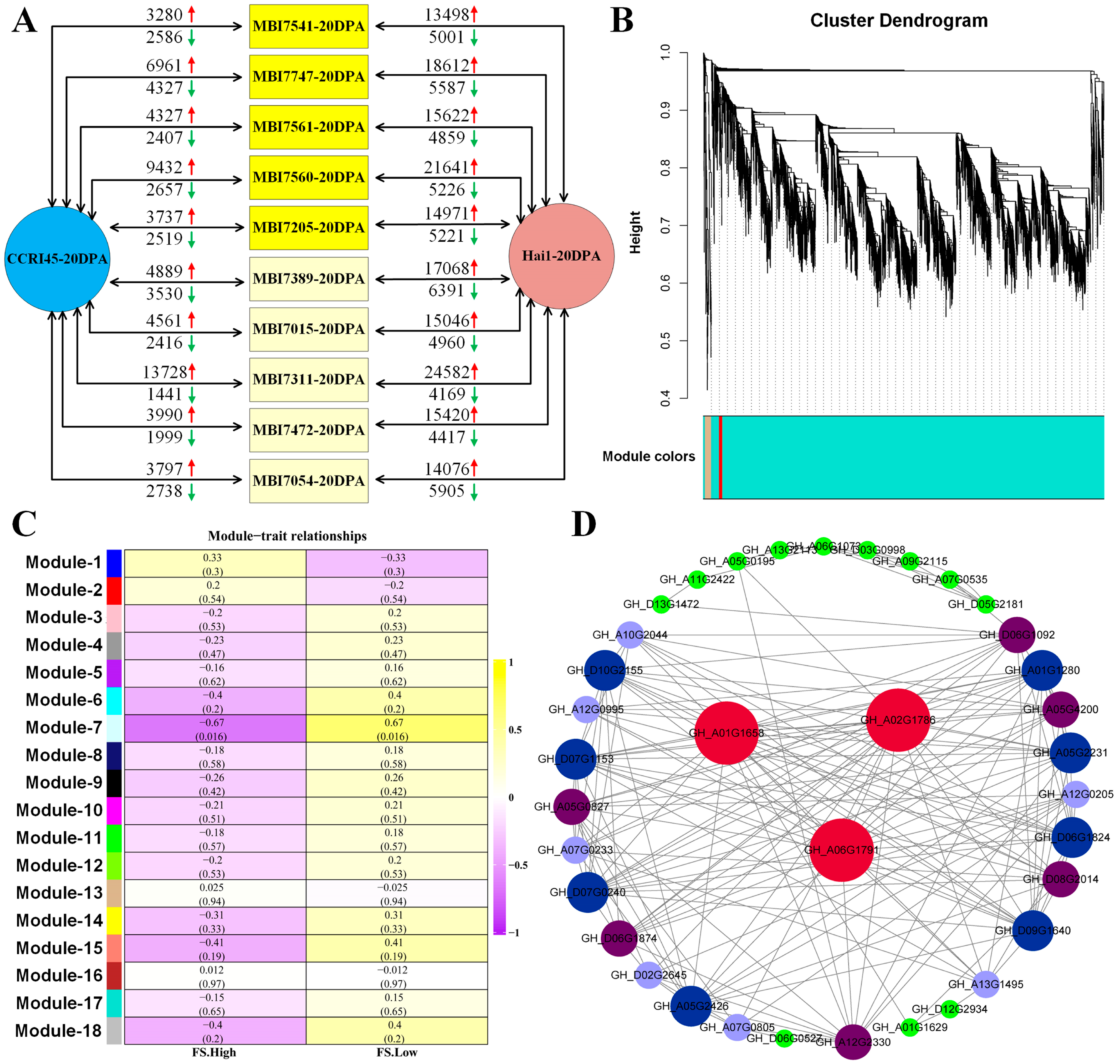 Plants 13 02308 g004