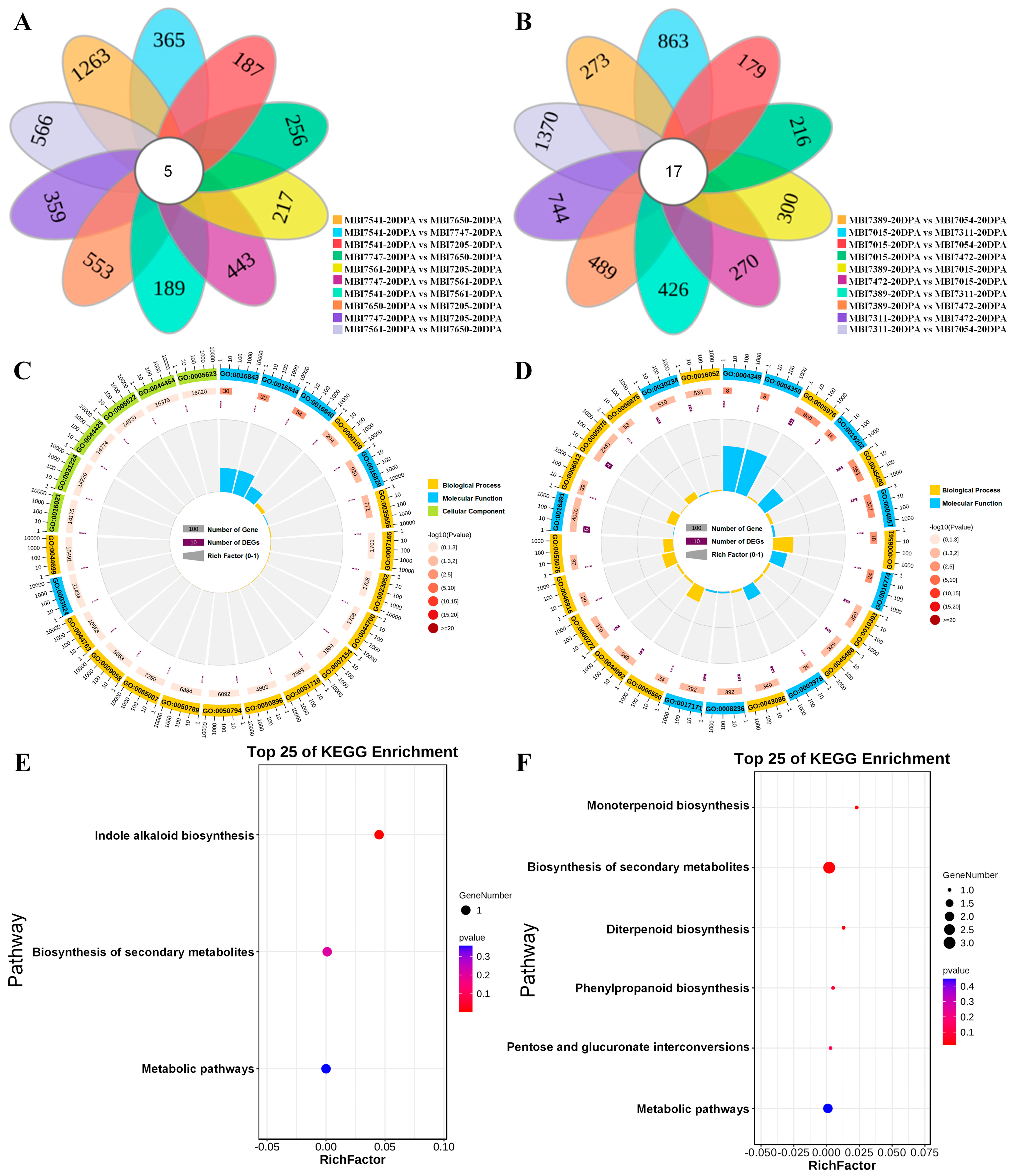 Plants 13 02308 g005