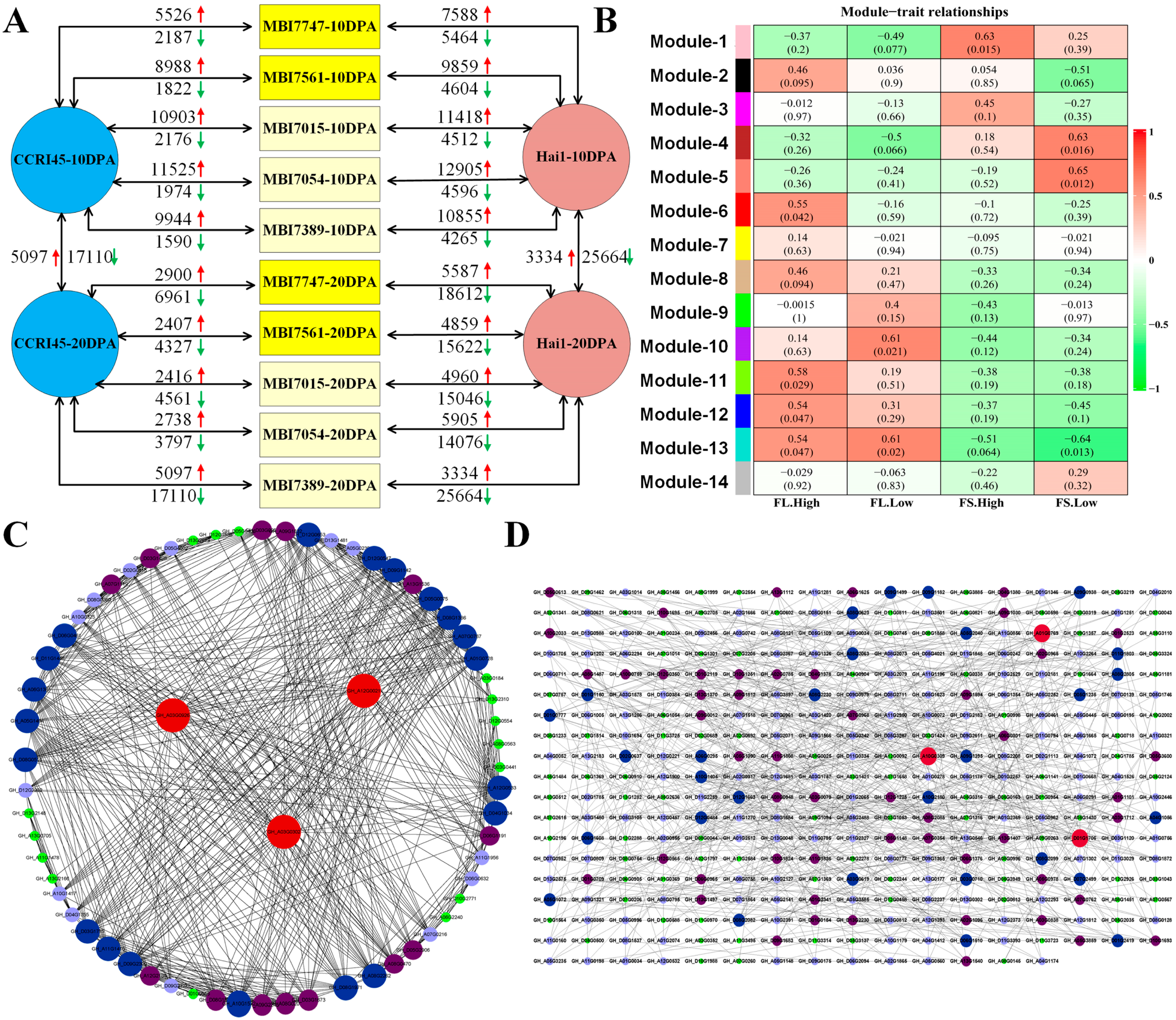 Plants 13 02308 g006