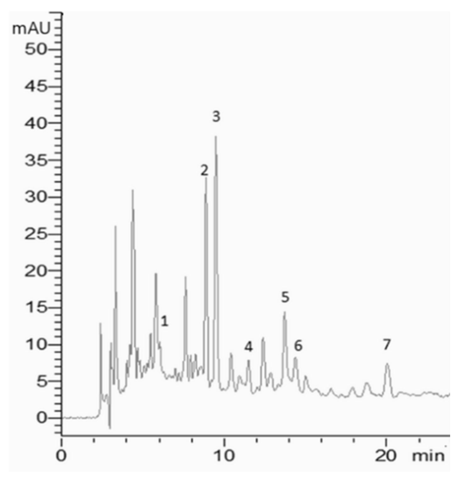 Plants 13 02310 g004