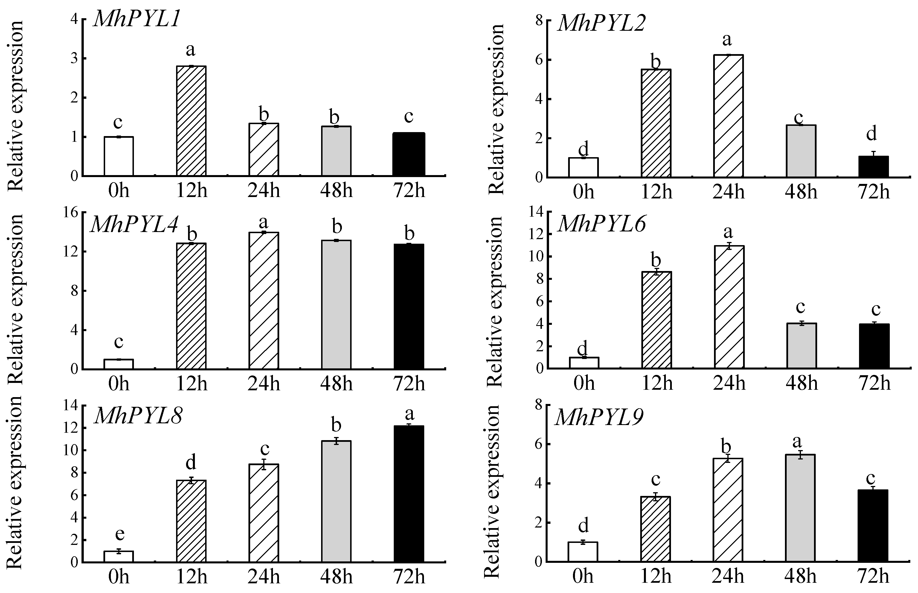 Plants 13 02317 g001