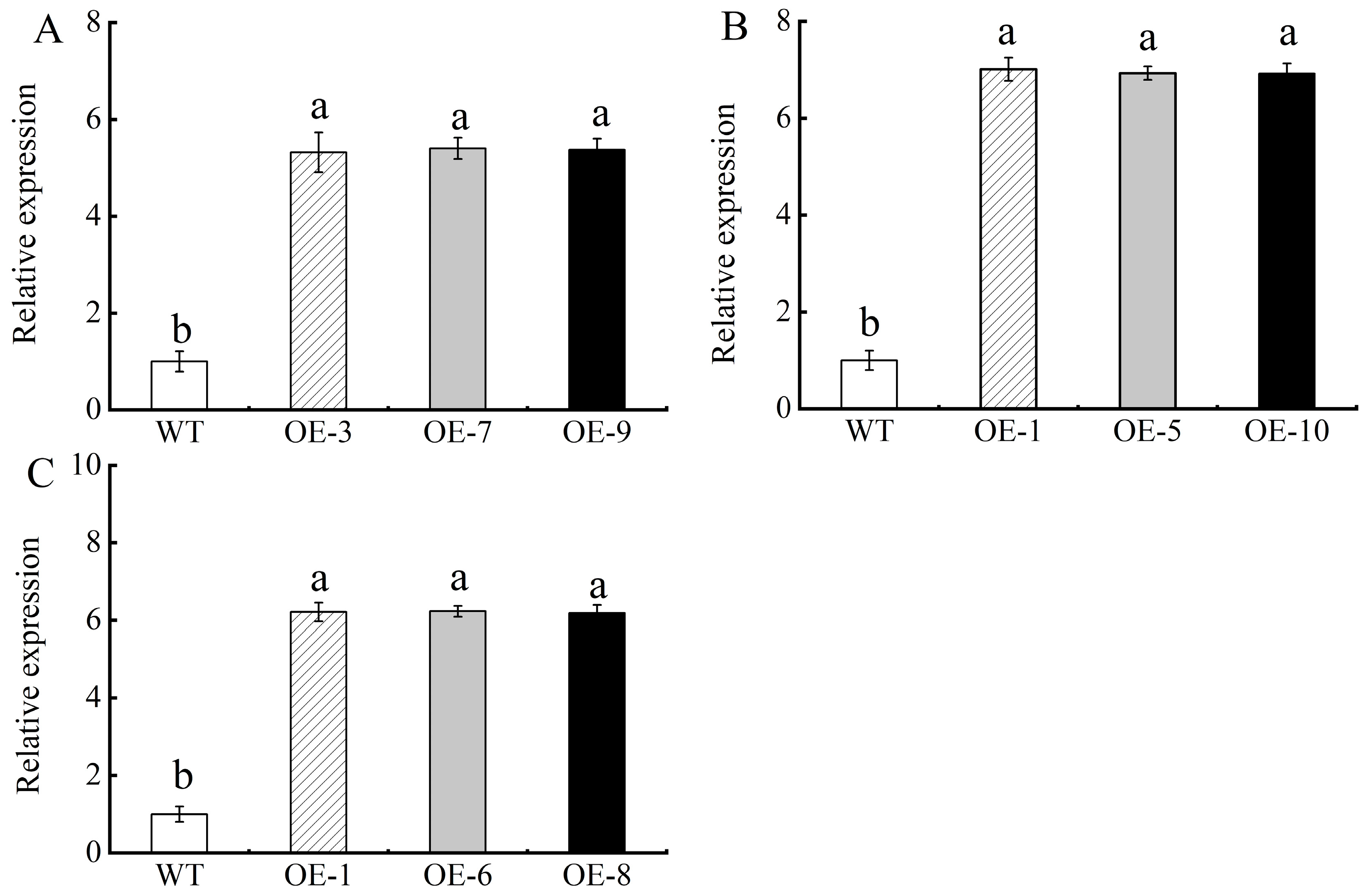 Plants 13 02317 g003