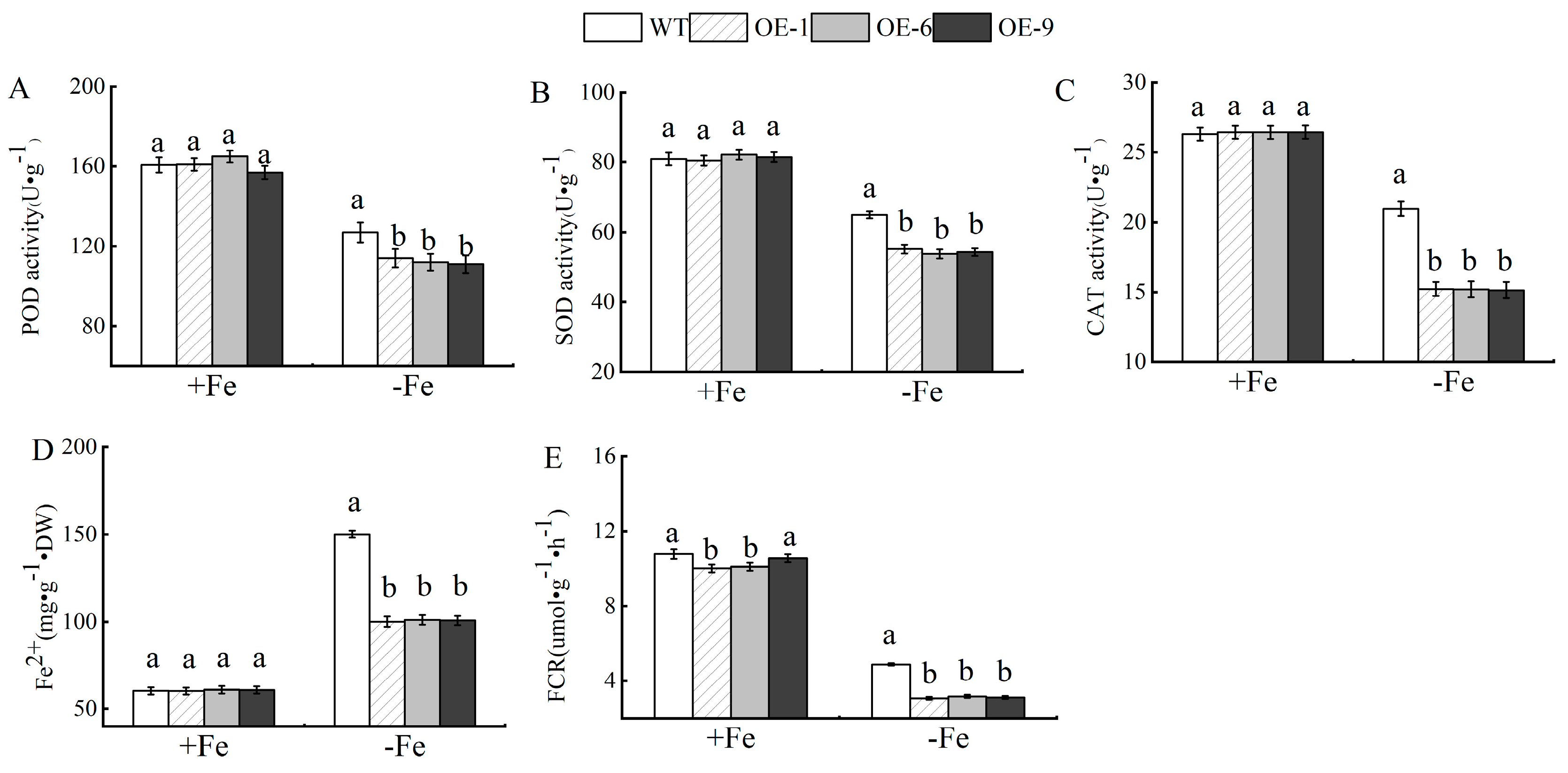 Plants 13 02317 g005
