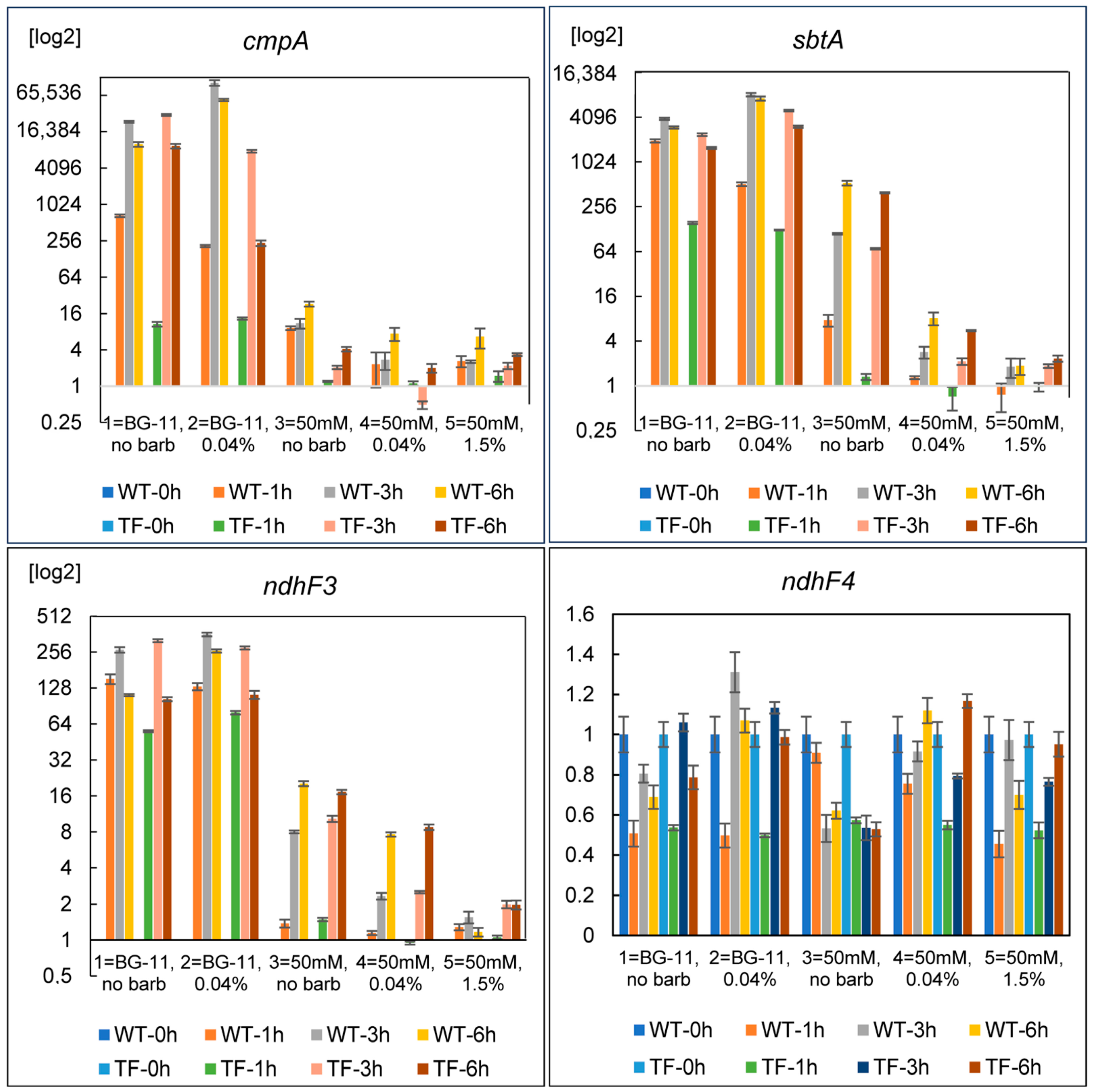 Plants 13 02323 g010