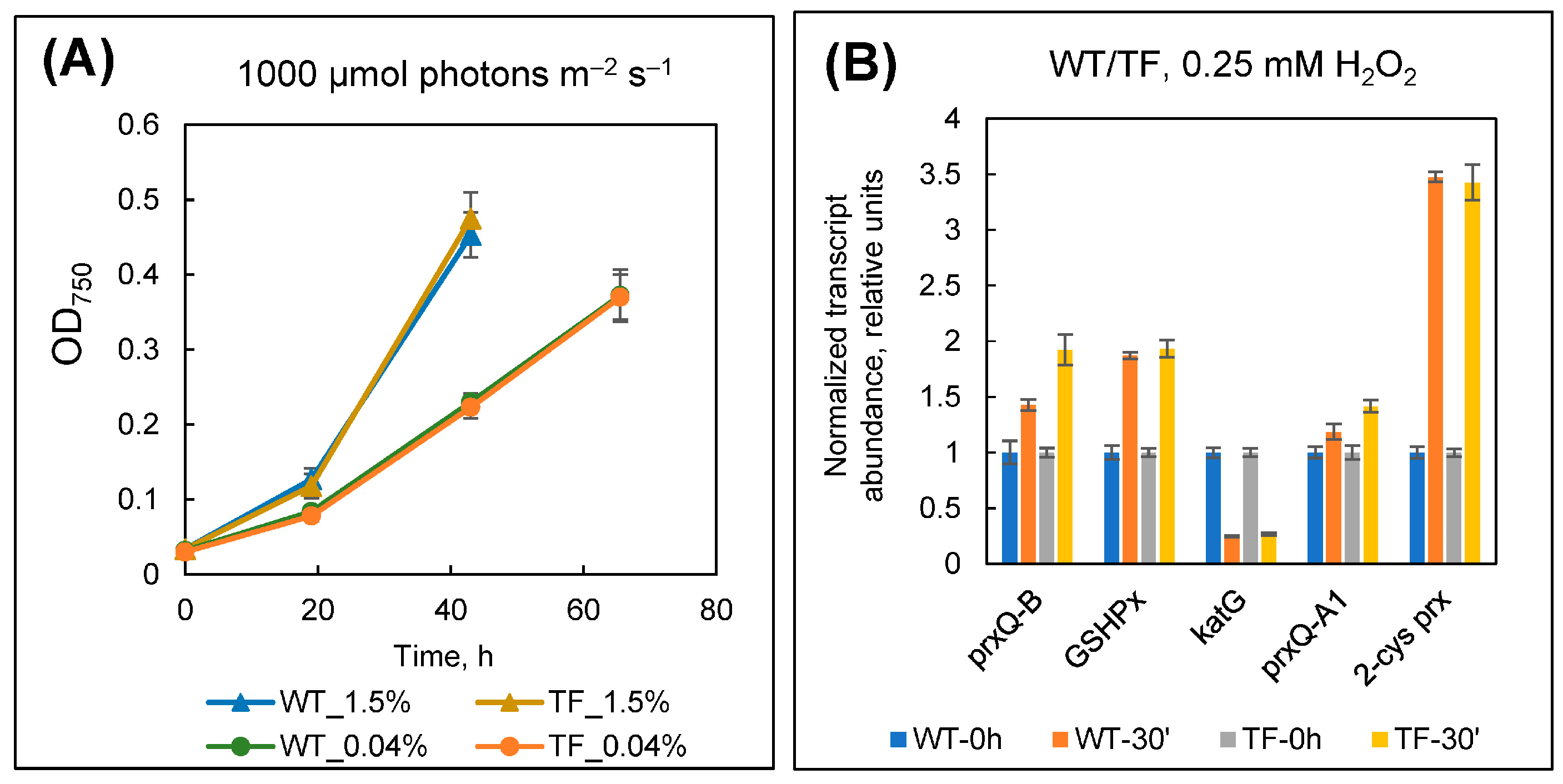 Plants 13 02323 g012