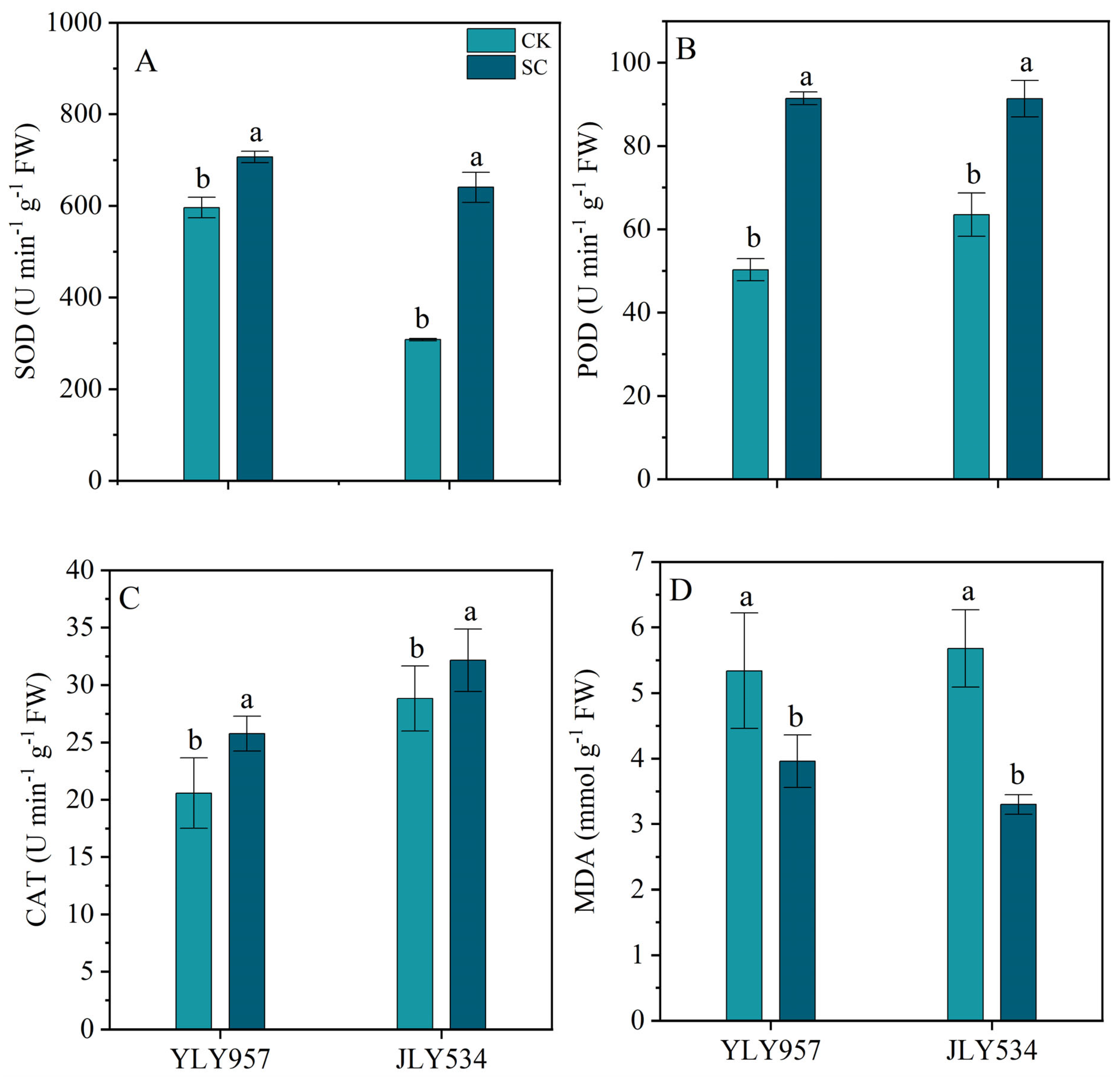 Plants 13 02325 g003