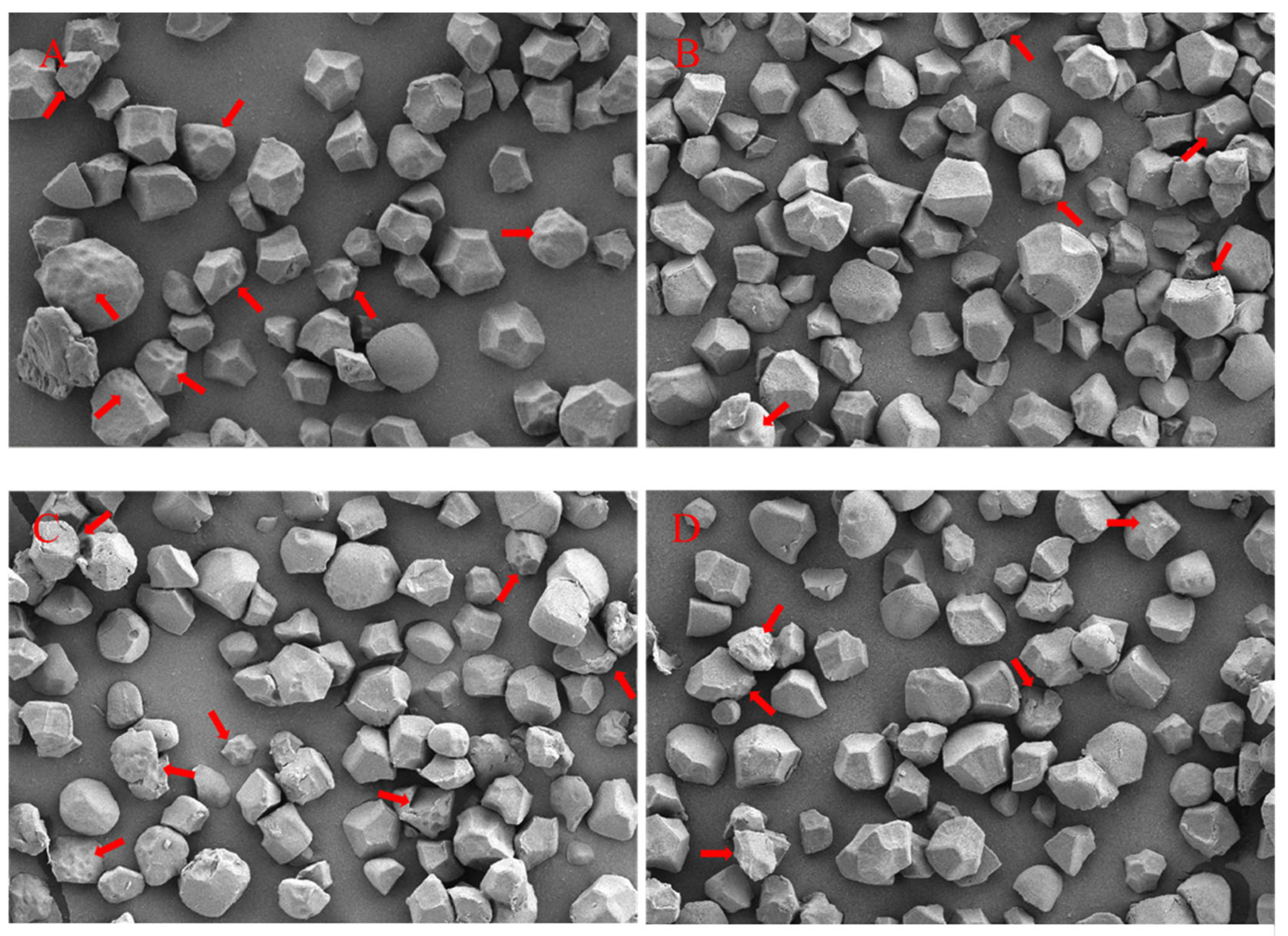 Plants 13 02325 g004