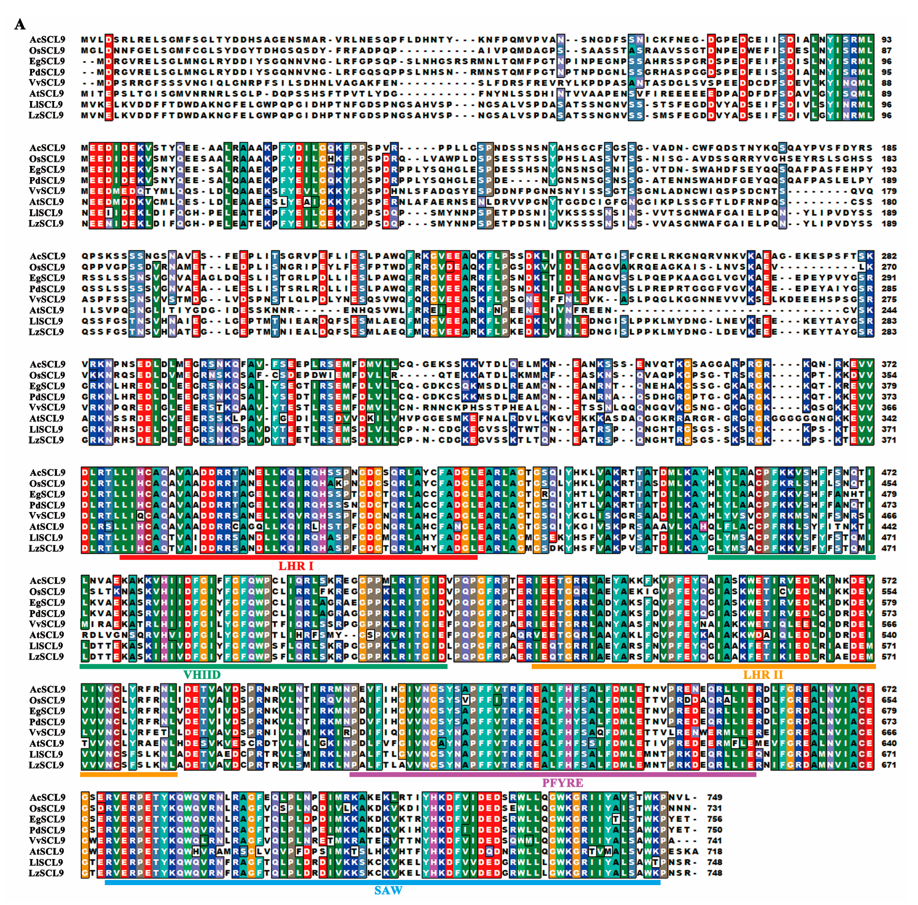 Plants 13 02330 g002a