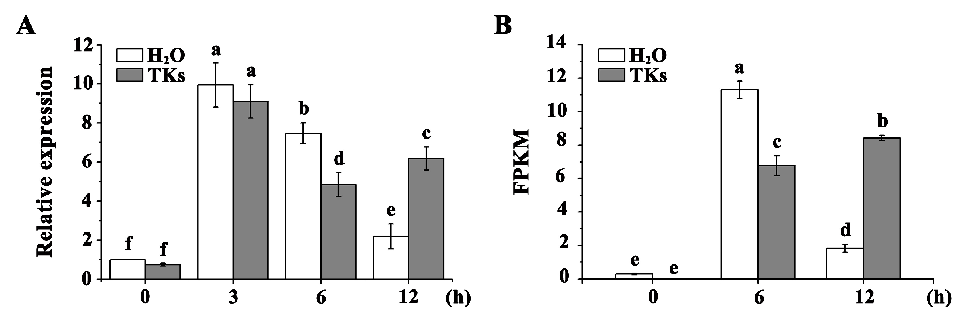 Plants 13 02330 g003