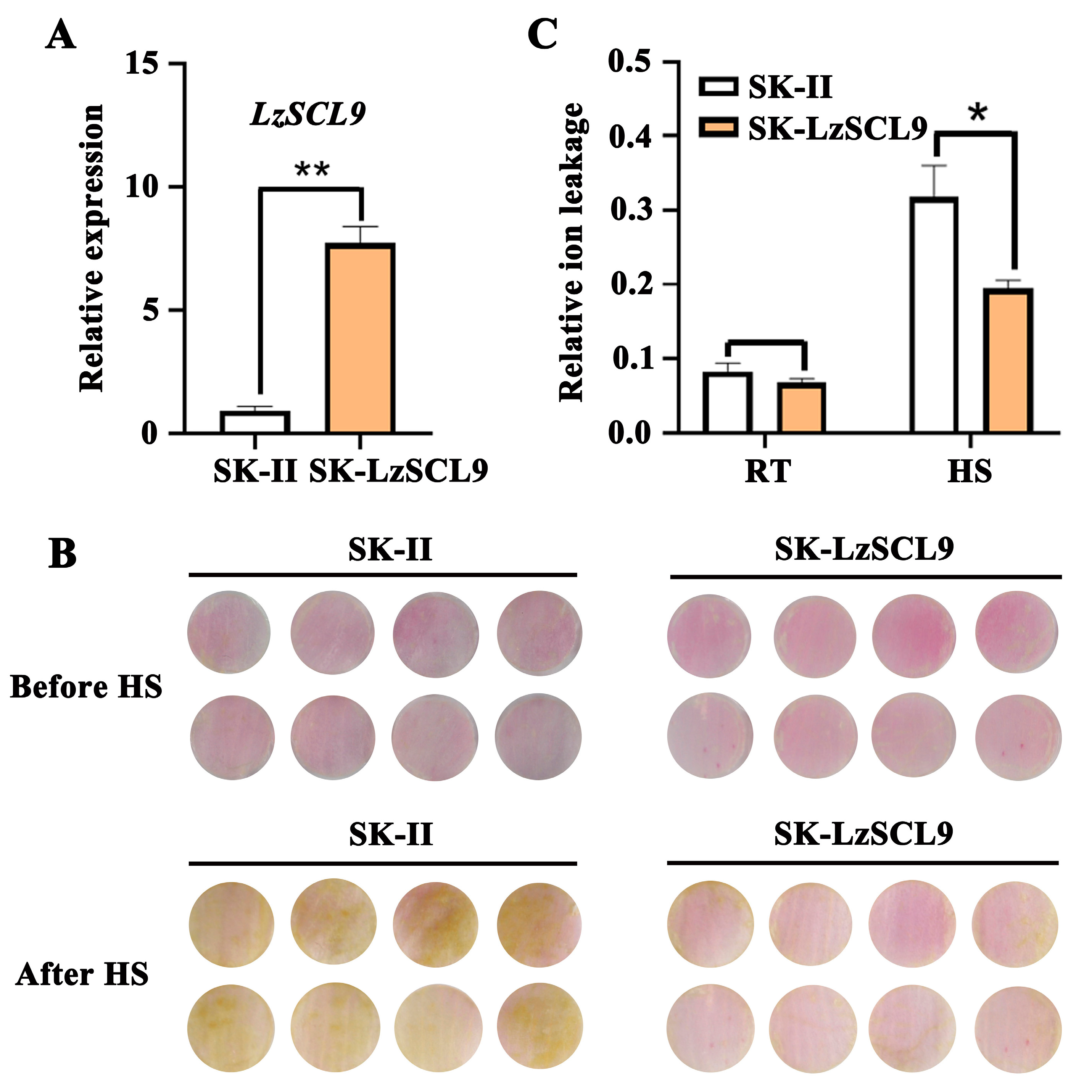 Plants 13 02330 g004
