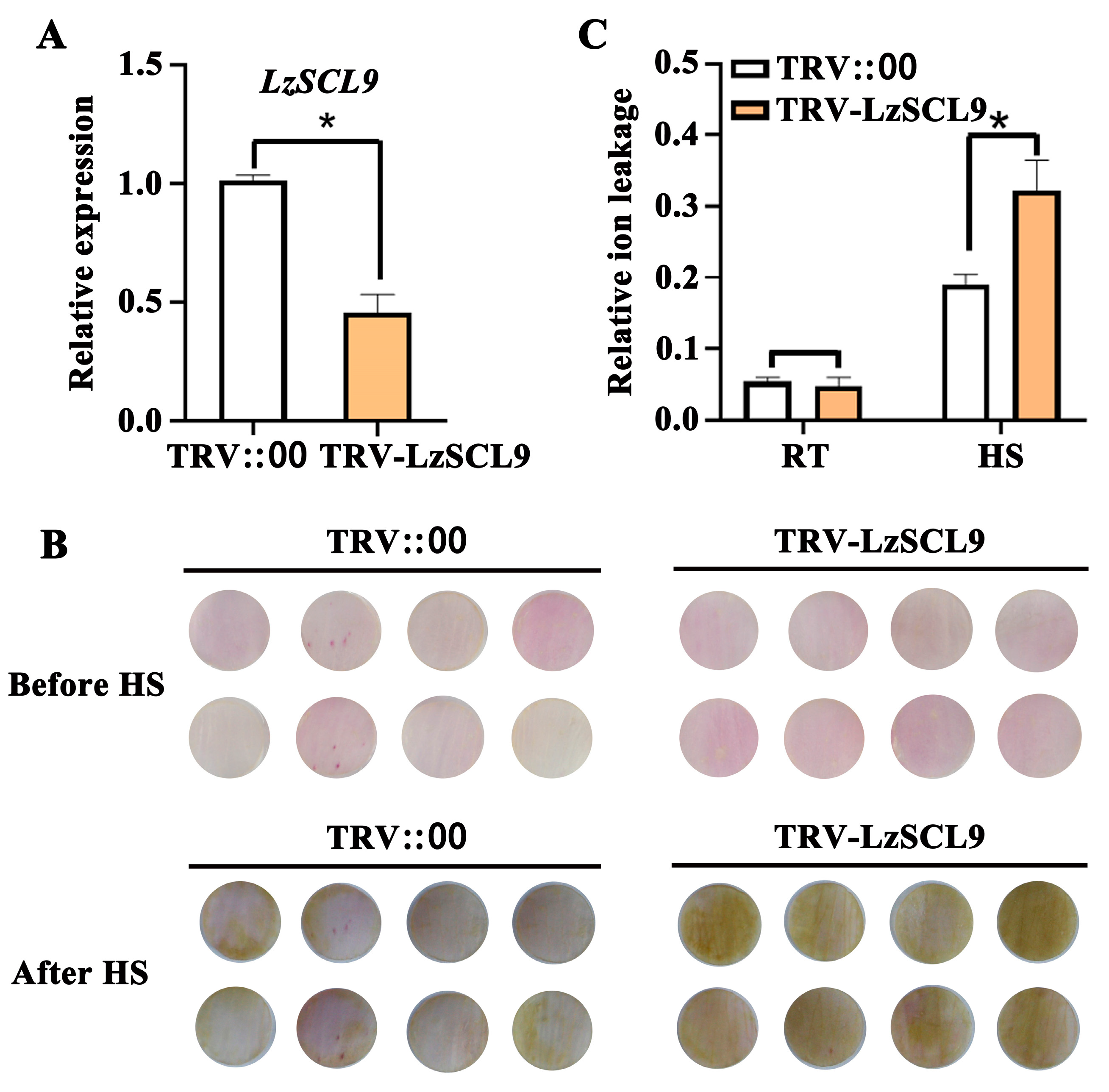Plants 13 02330 g005