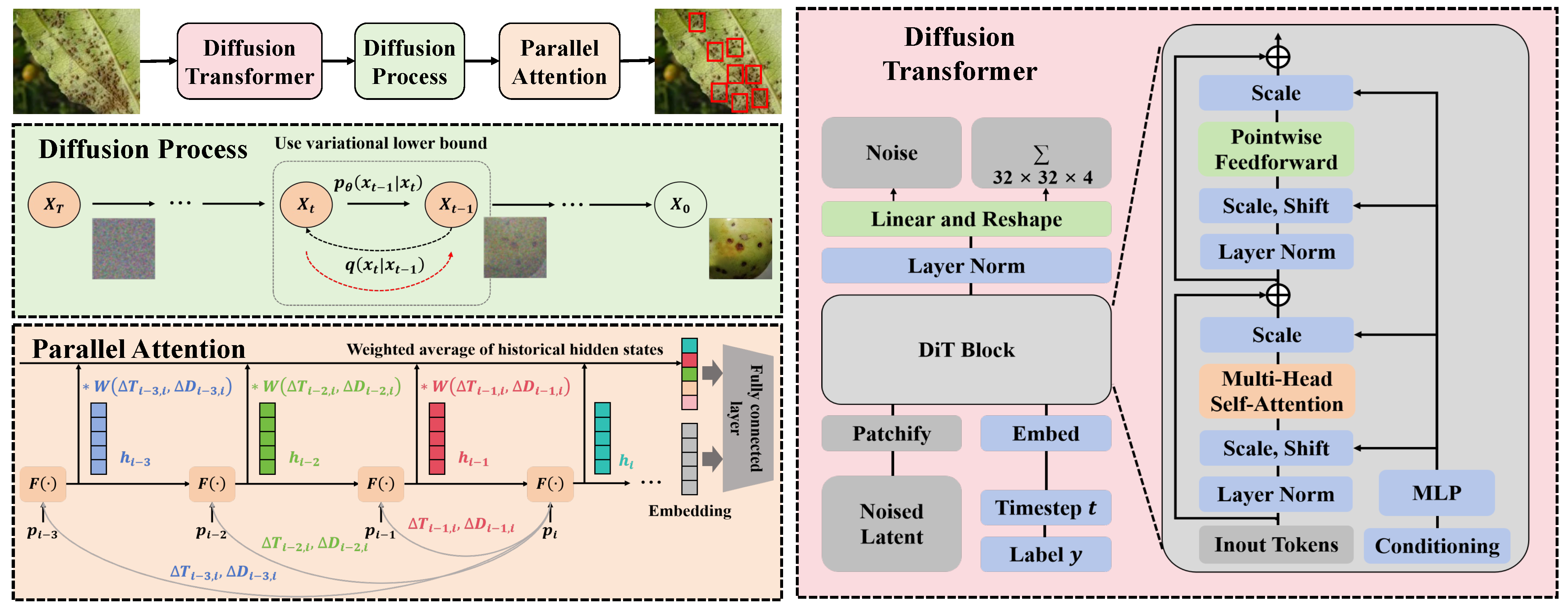 Plants 13 02348 g003