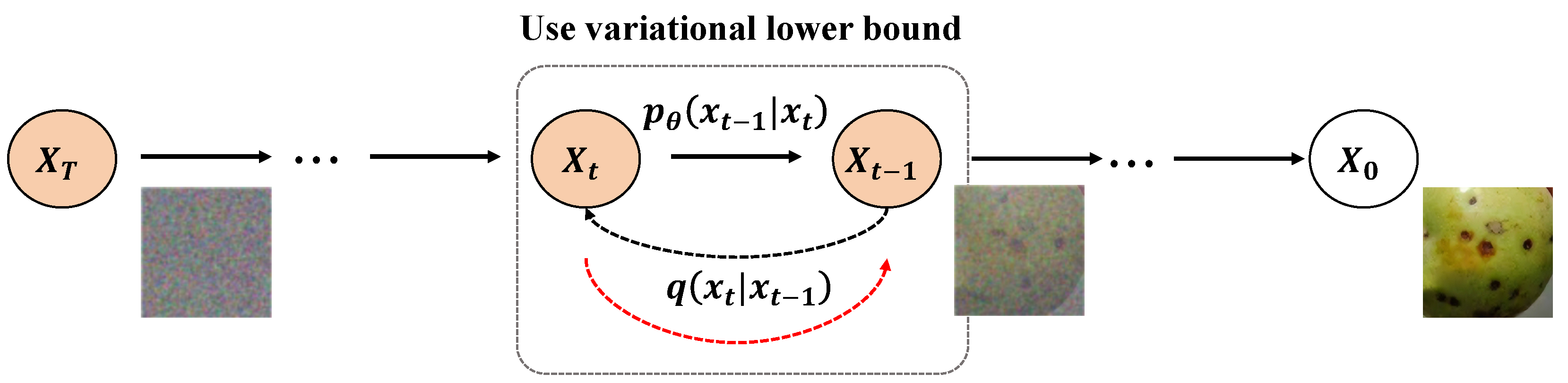 Plants 13 02348 g005