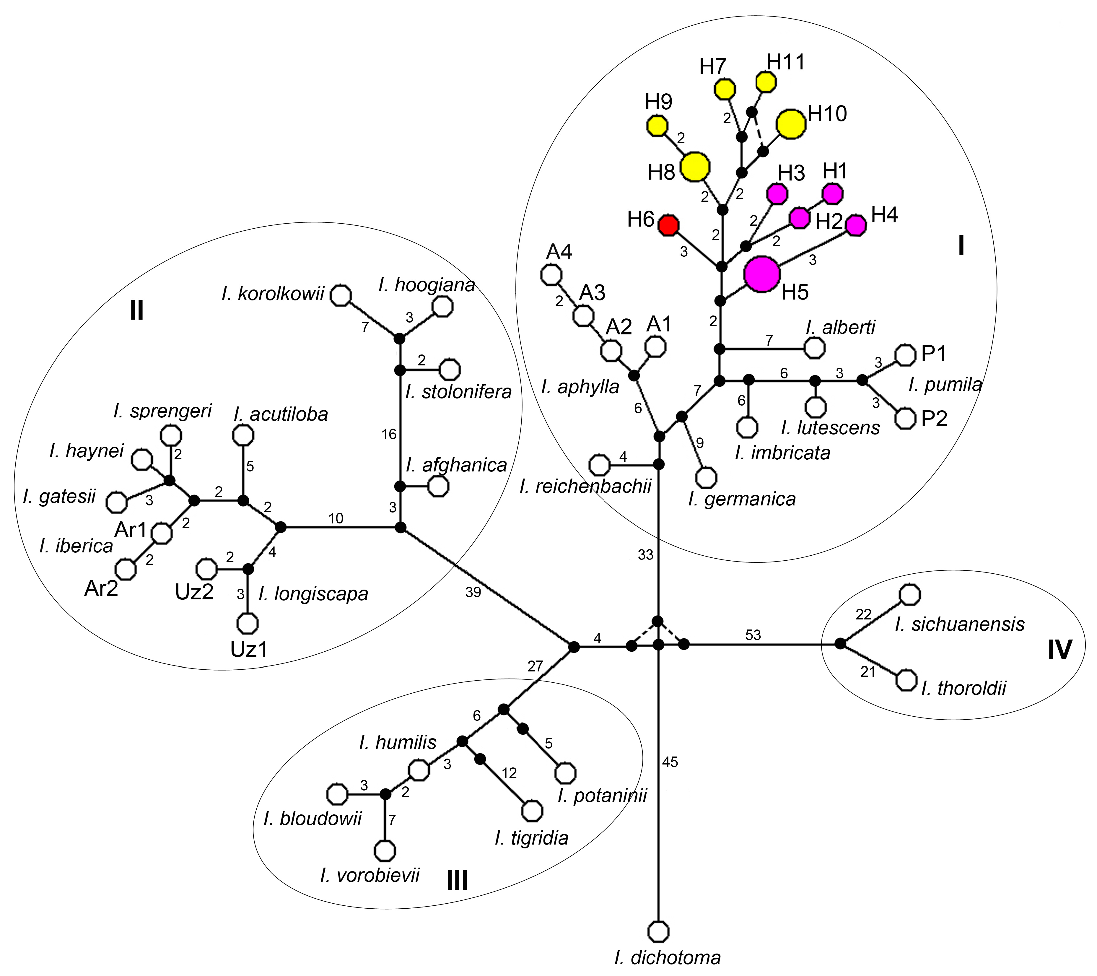 Plants 13 02349 g003