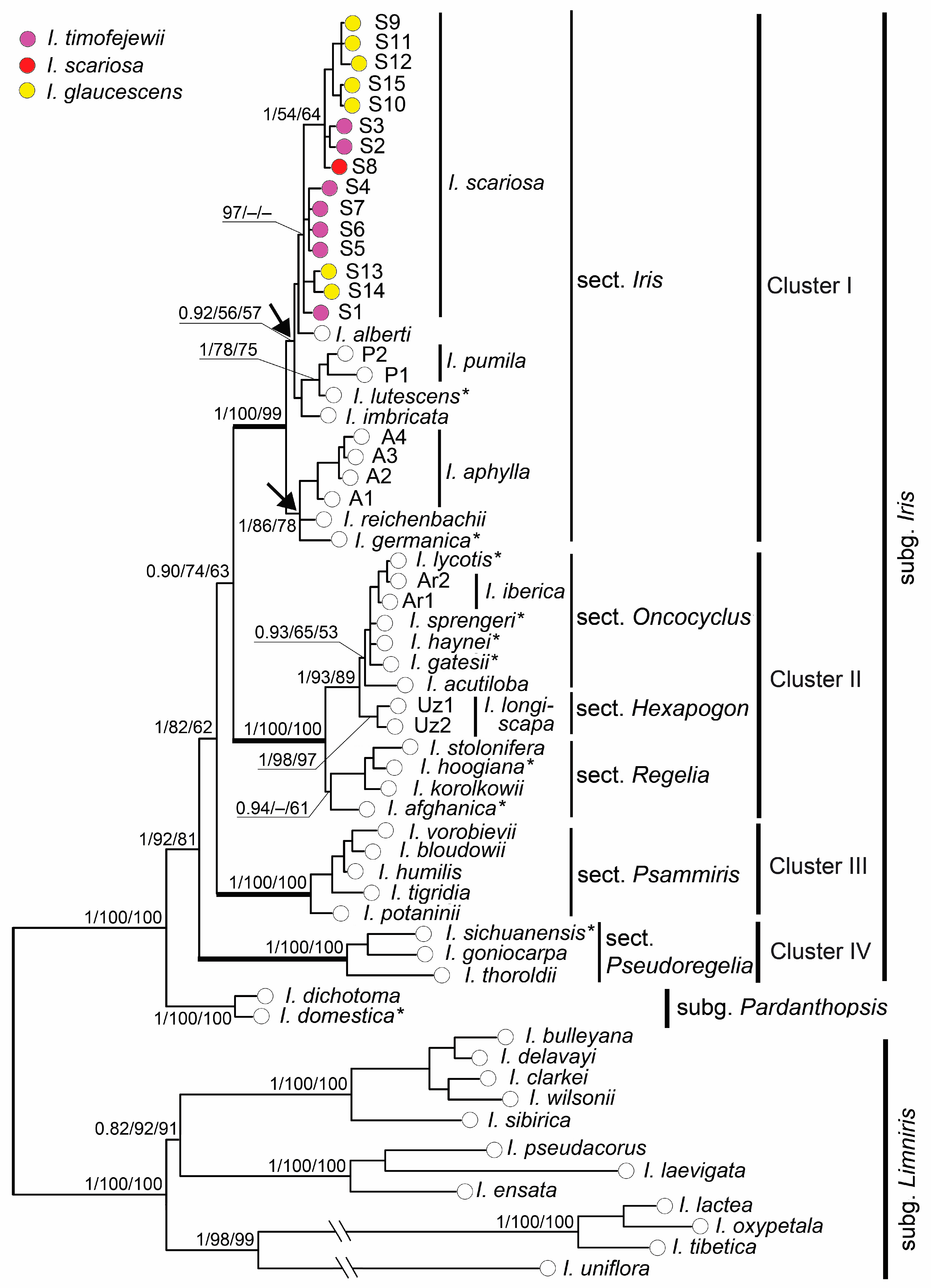 Plants 13 02349 g004