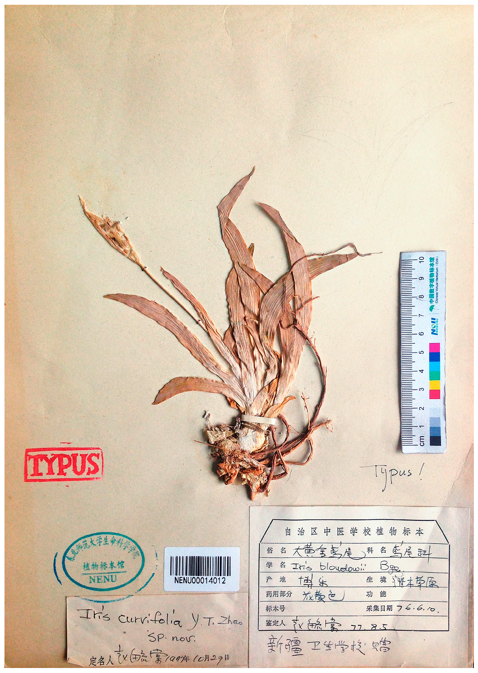 Plants 13 02349 g008