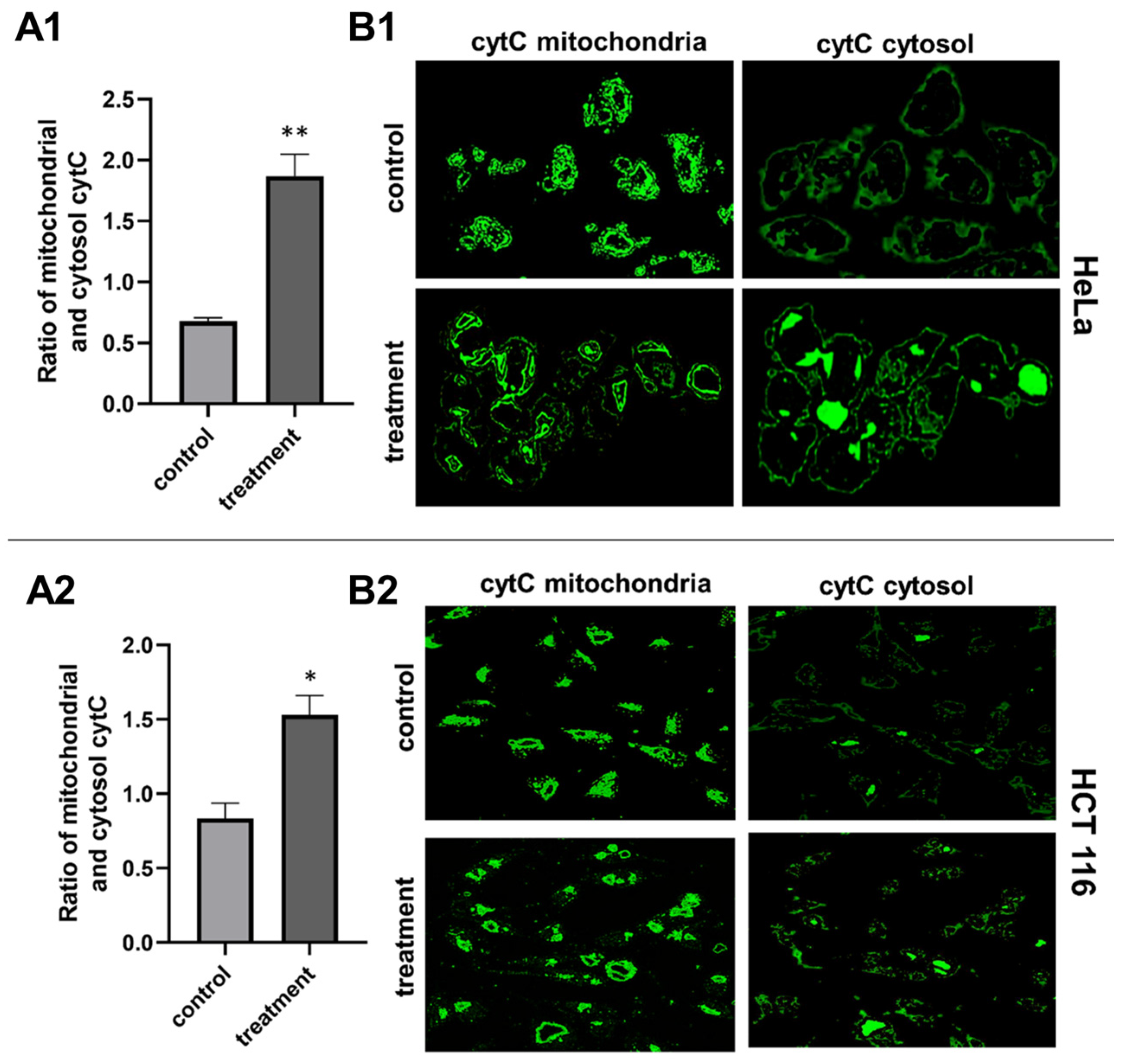 Plants 13 02351 g004 Plants 13 02351 g004