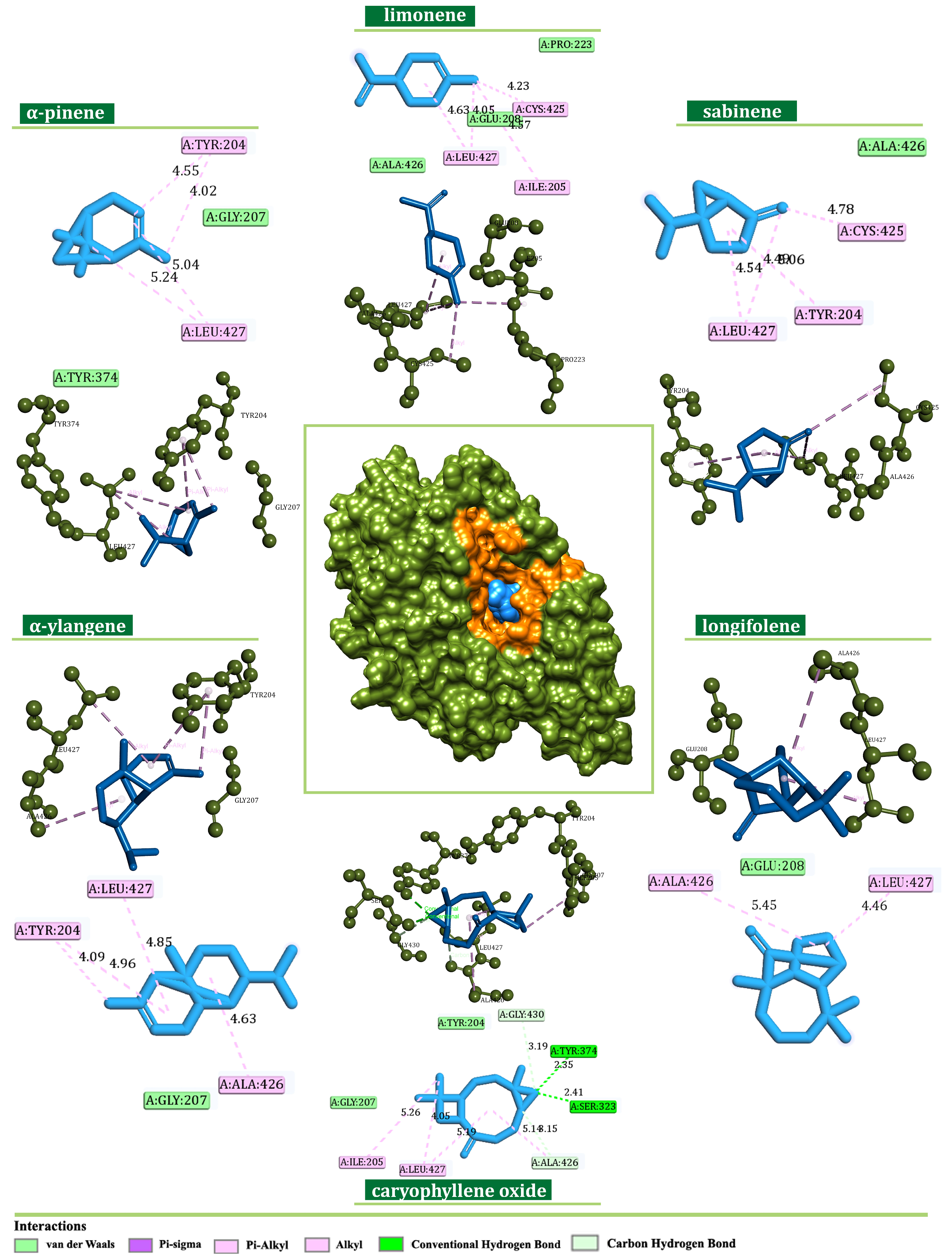 Plants 13 02351 g008 Plants 13 02351 g008