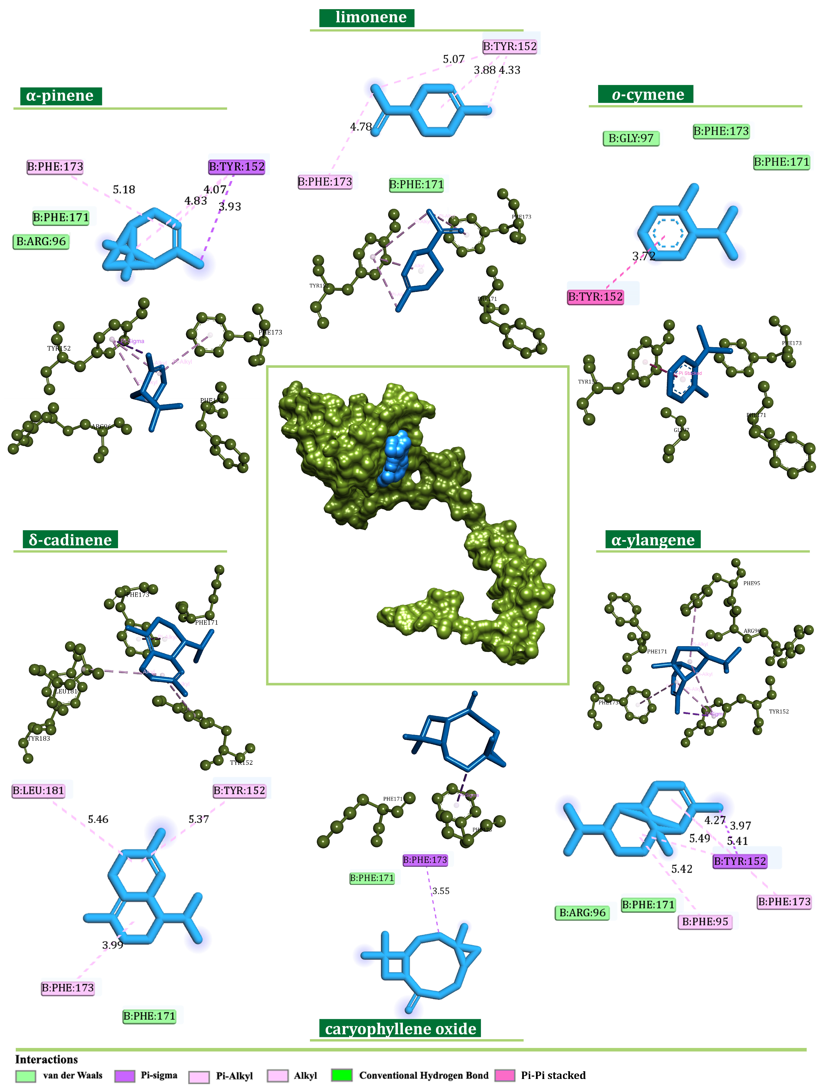 Plants 13 02351 g009 Plants 13 02351 g009