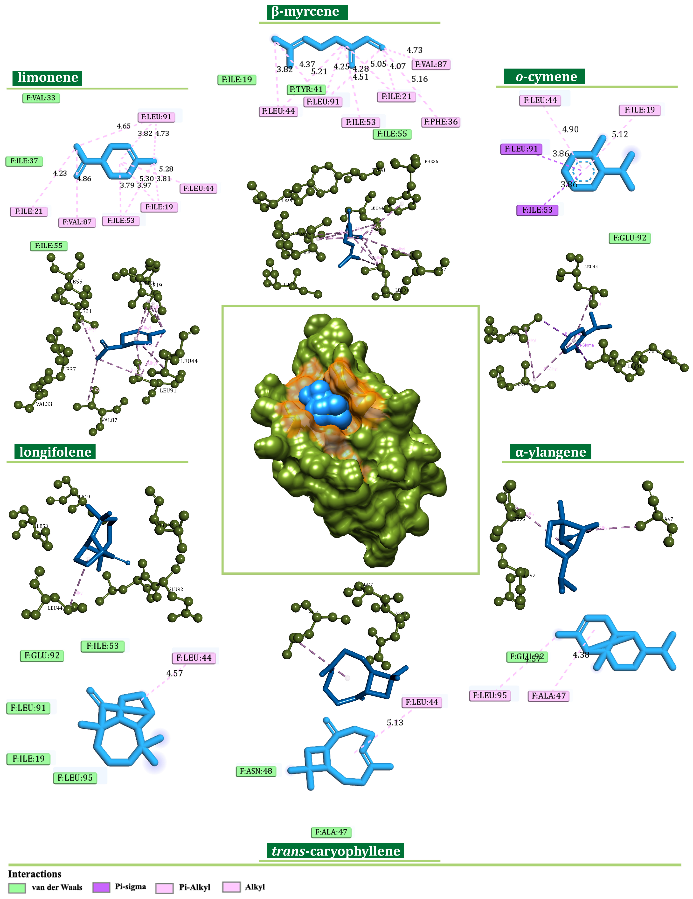 Plants 13 02351 g010 Plants 13 02351 g010