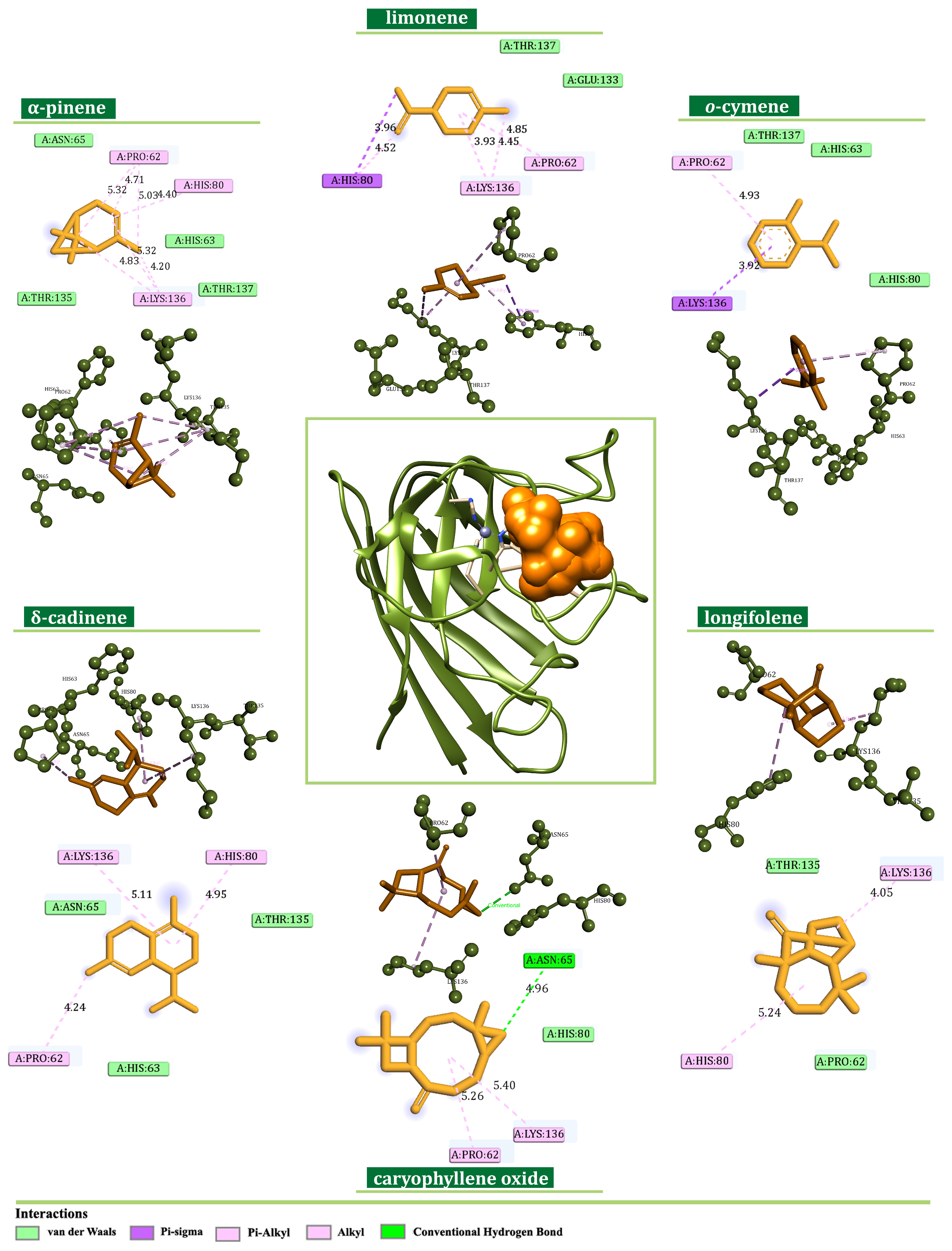 Plants 13 02351 g011 Plants 13 02351 g011