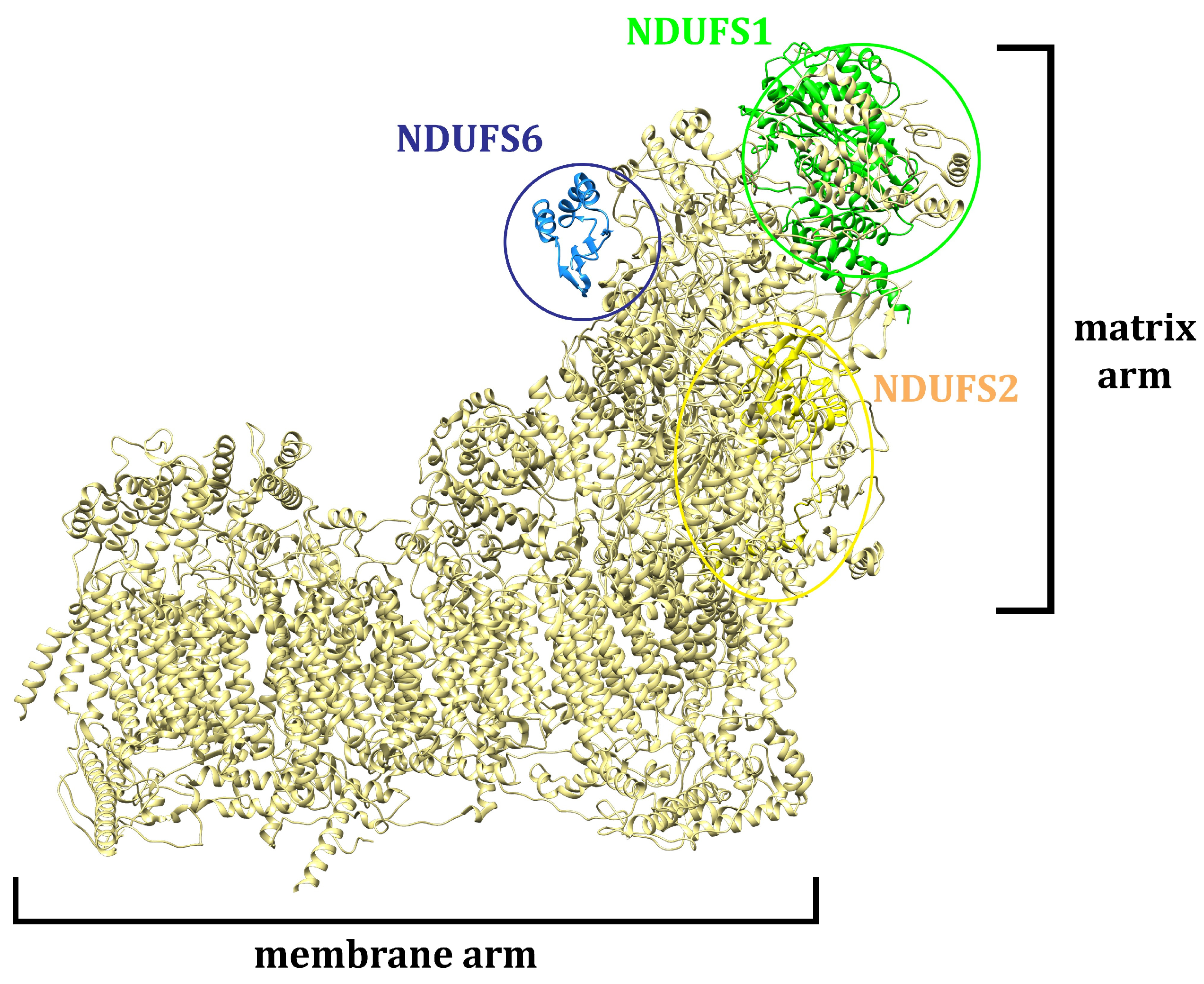 Plants 13 02351 g013 Plants 13 02351 g013