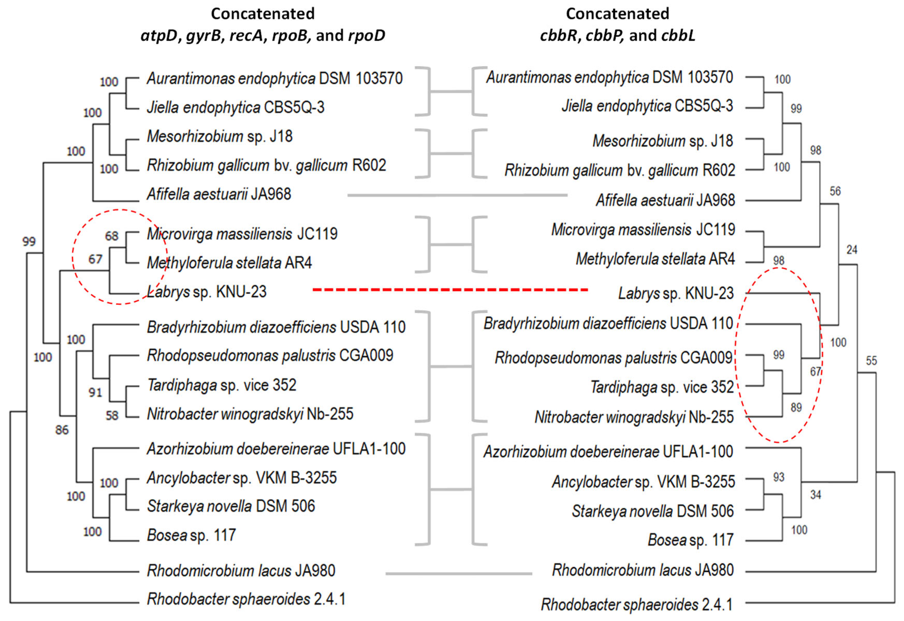 Plants 13 02362 g001 Plants 13 02362 g001