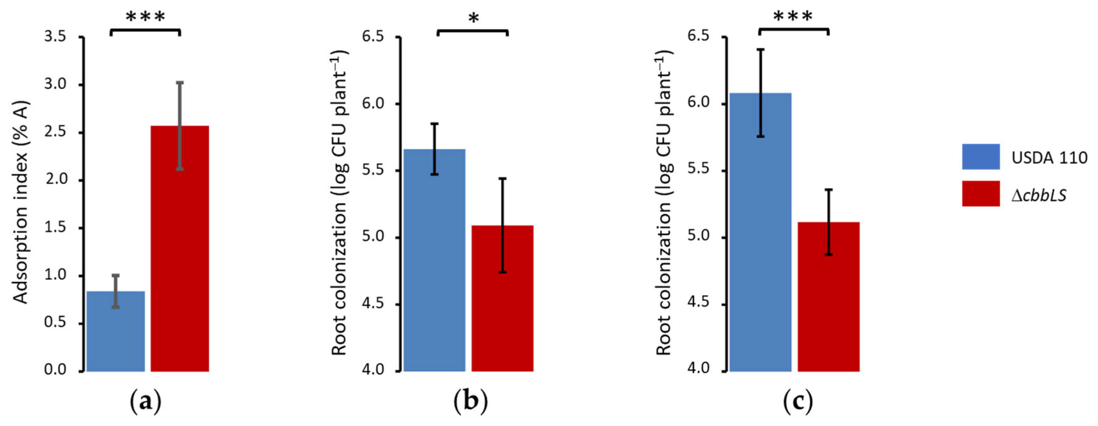 Plants 13 02362 g004 Plants 13 02362 g004