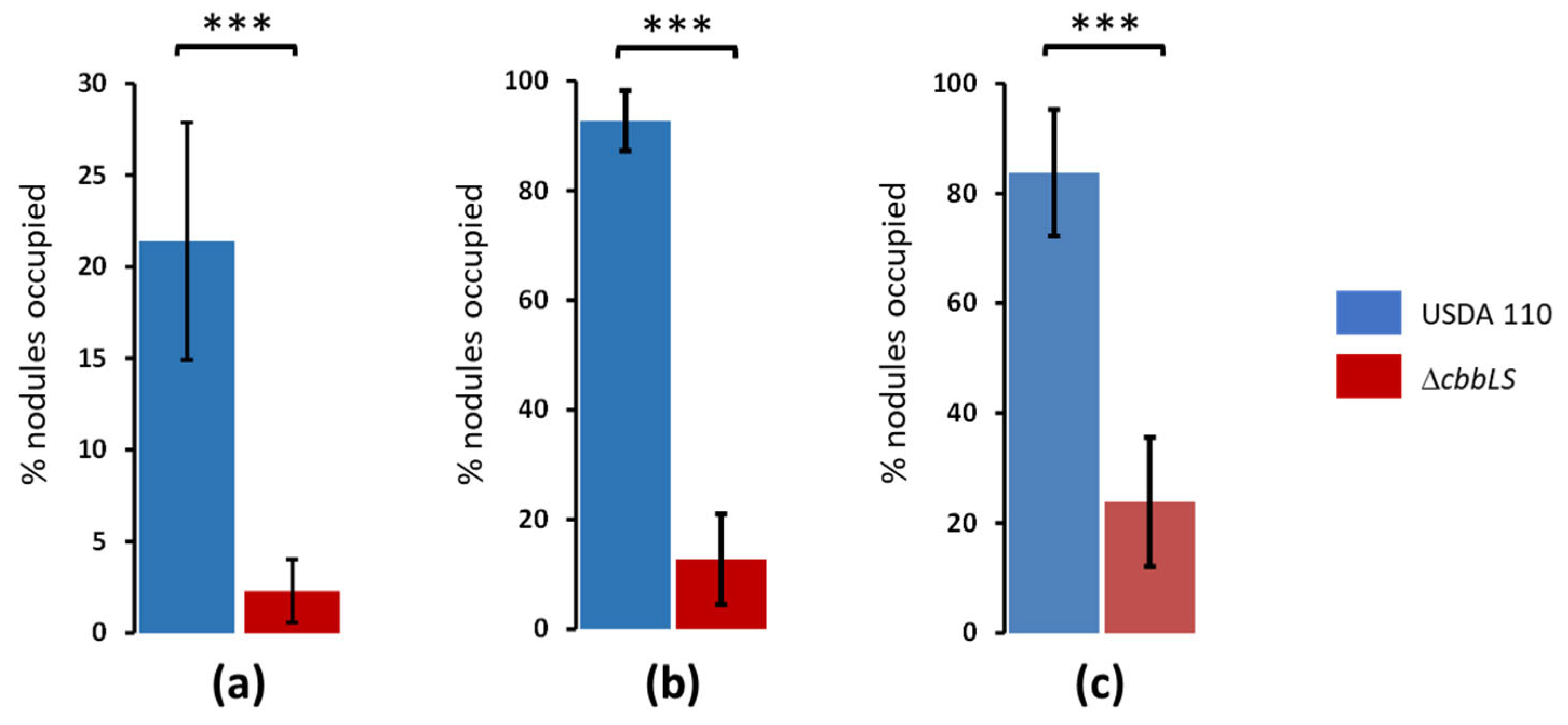 Plants 13 02362 g005 Plants 13 02362 g005