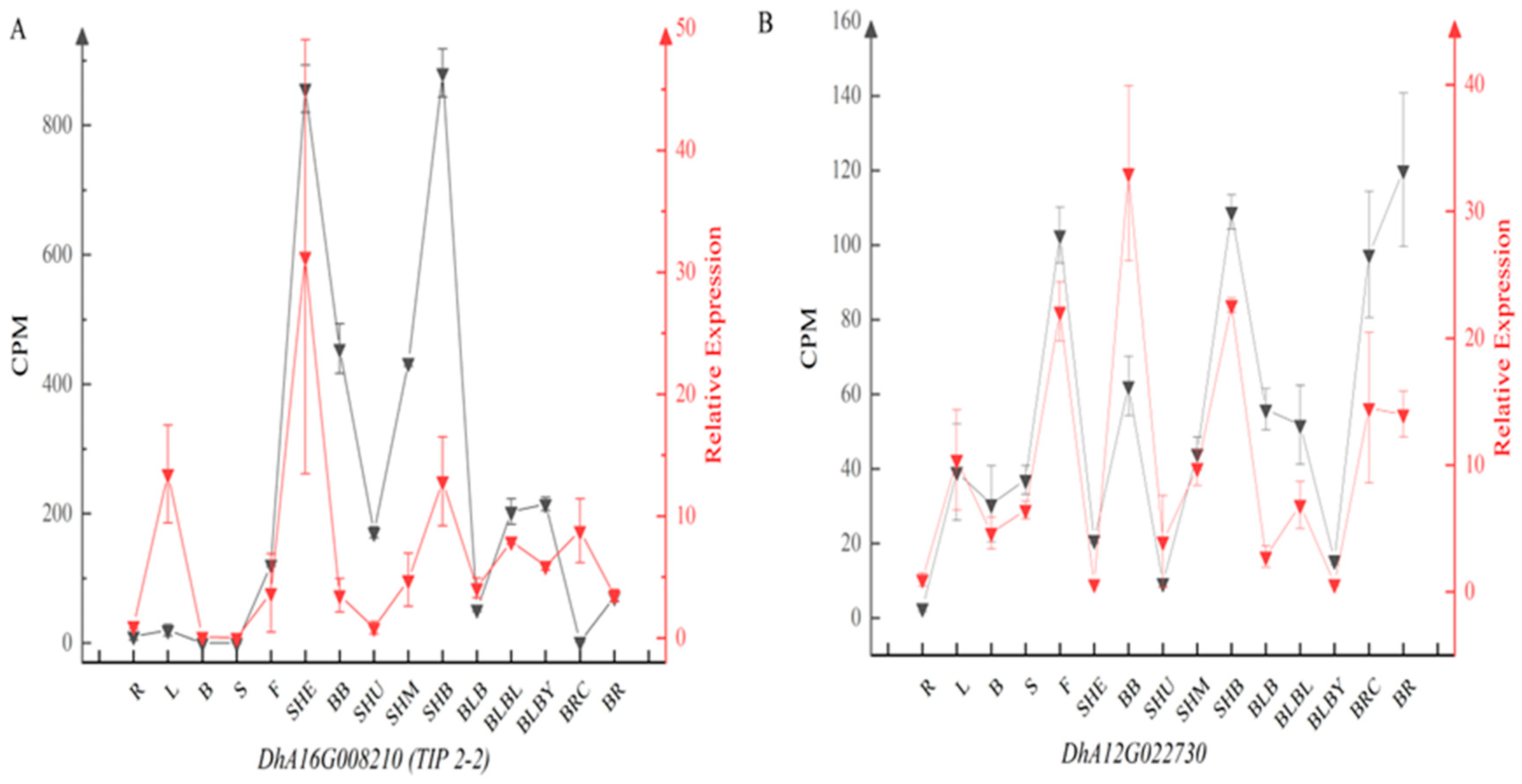 Plants 13 02363 g002