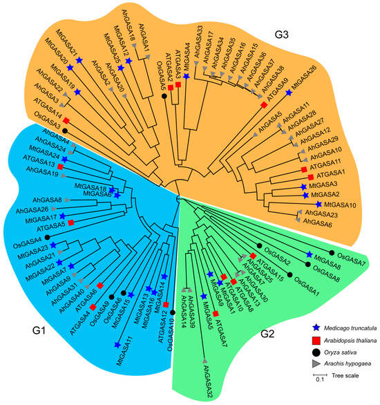 洋書 GENETIC CLASSIFICATION OF GLACIGENIC 41598_2025_92115_Fig1_HTML.png