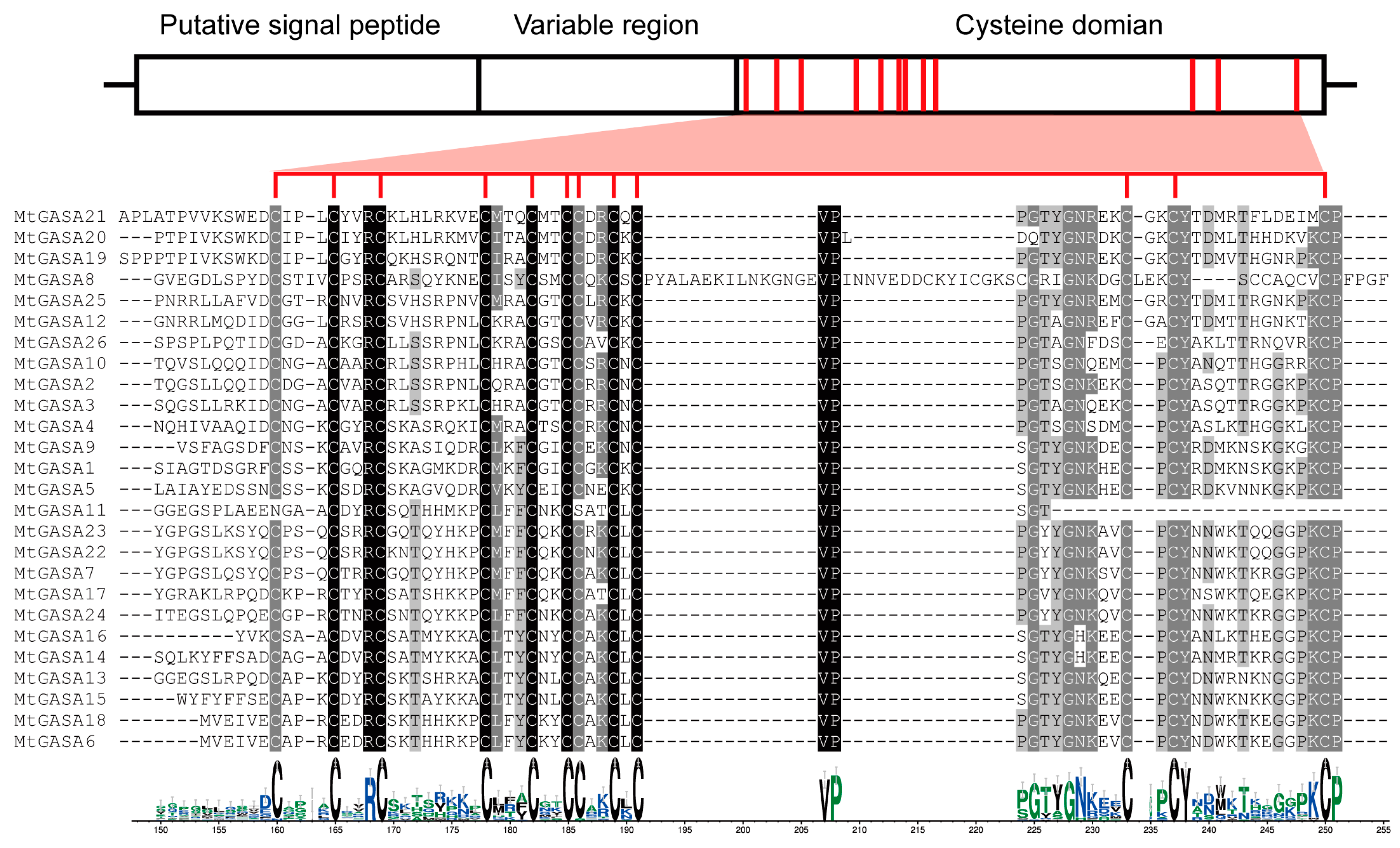 Plants 13 02364 g003