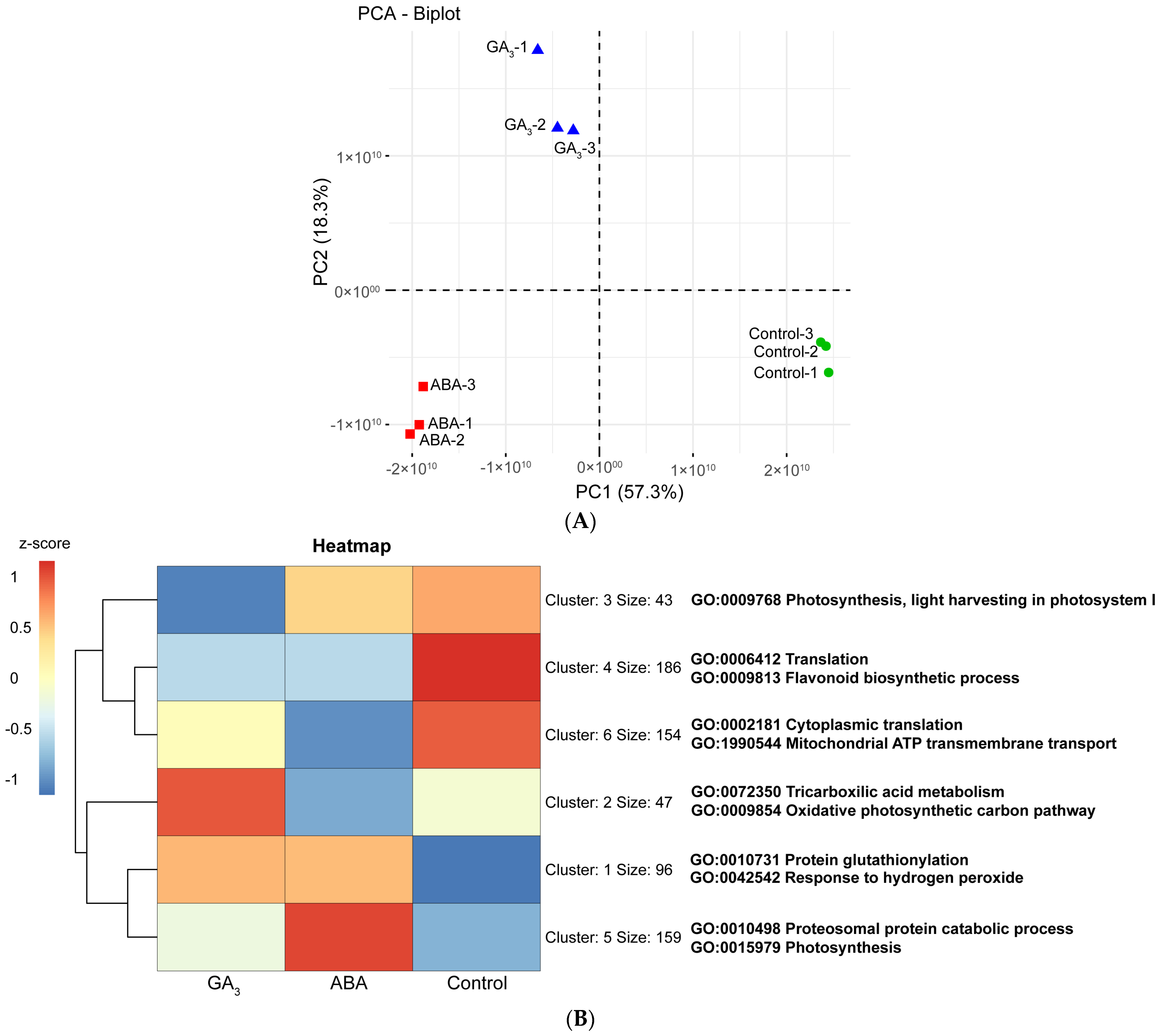 Plants 13 02366 g004a
