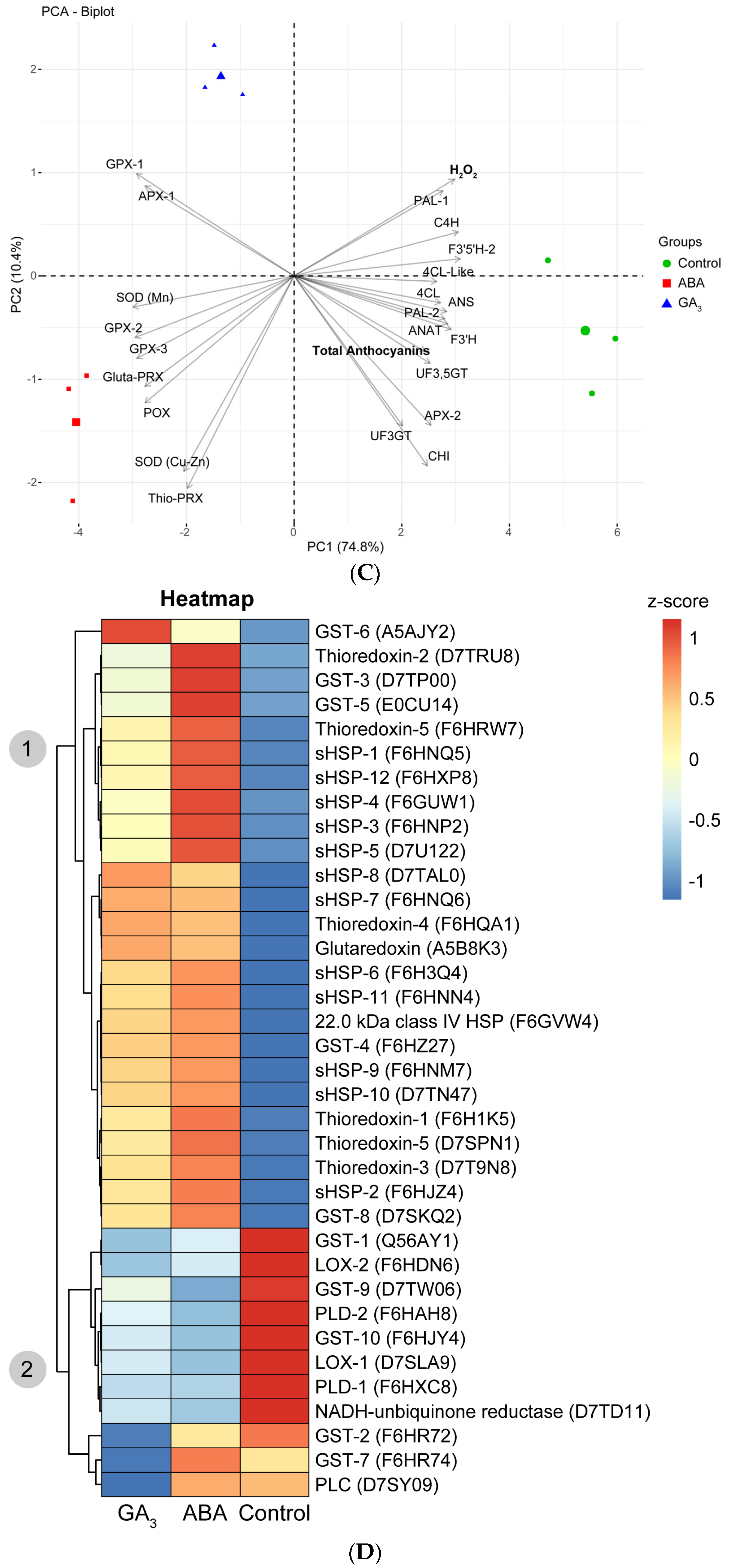 Plants 13 02366 g004b