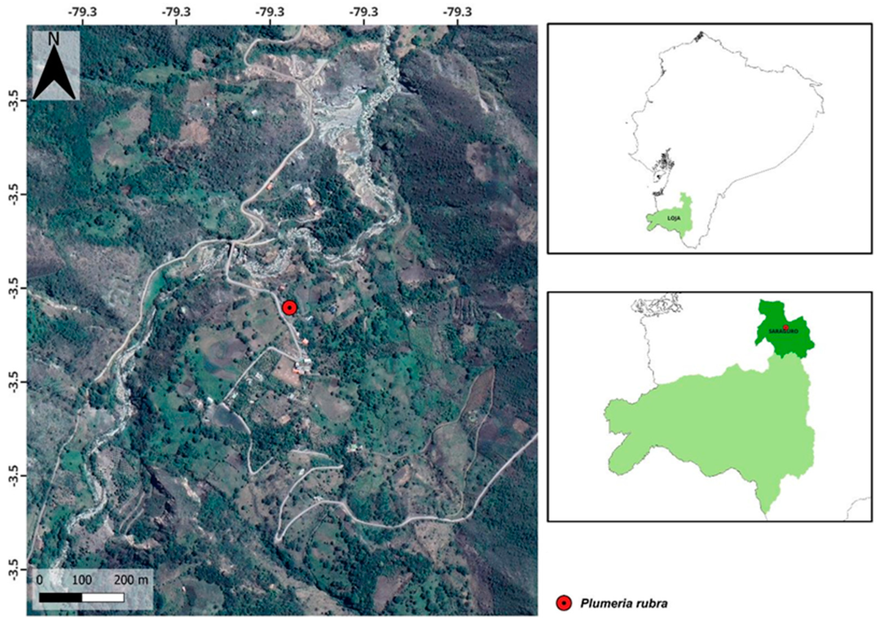 Plants 13 02367 g006 Plants 13 02367 g006