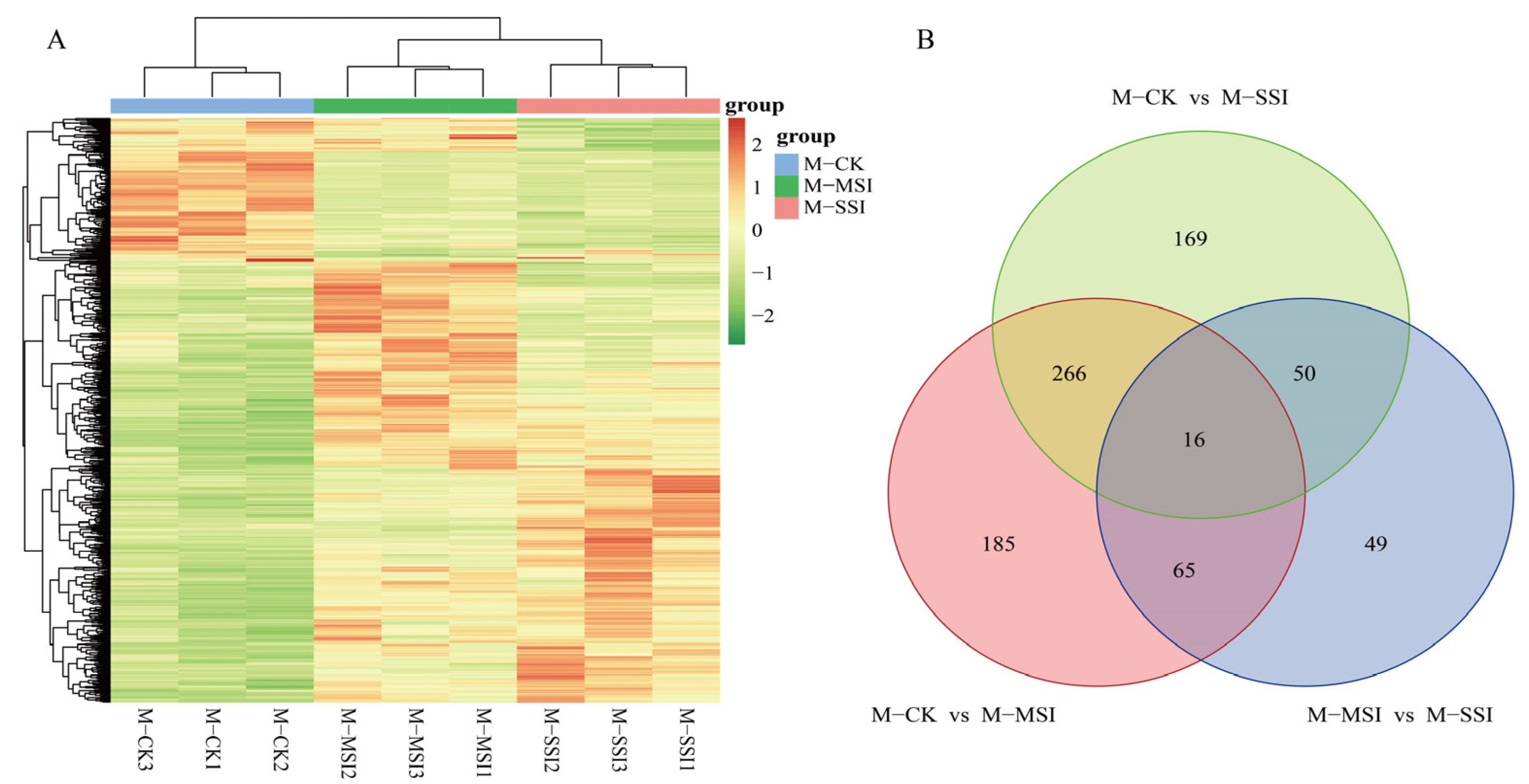 Plants 13 02369 g003