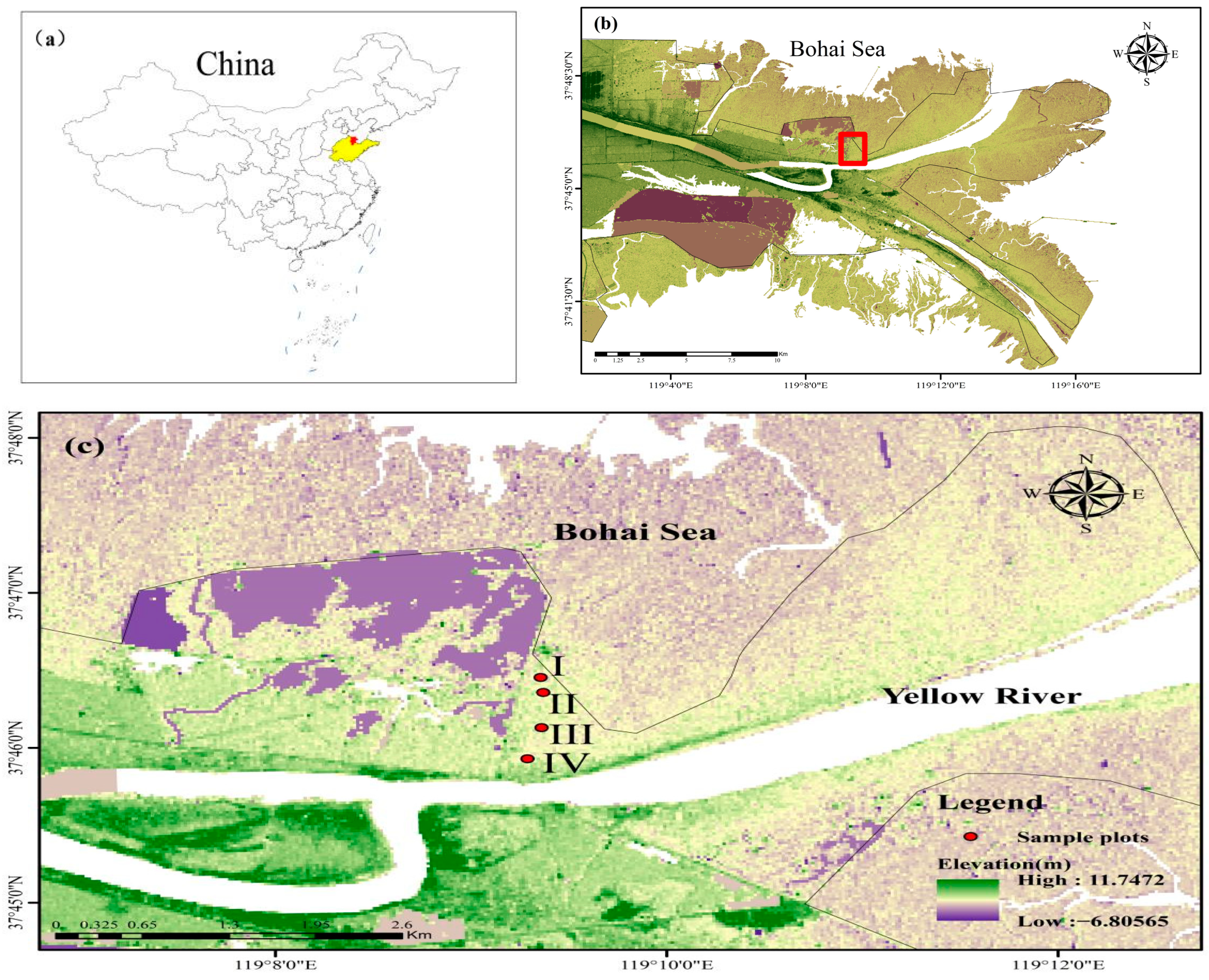 Plants 13 02372 g010