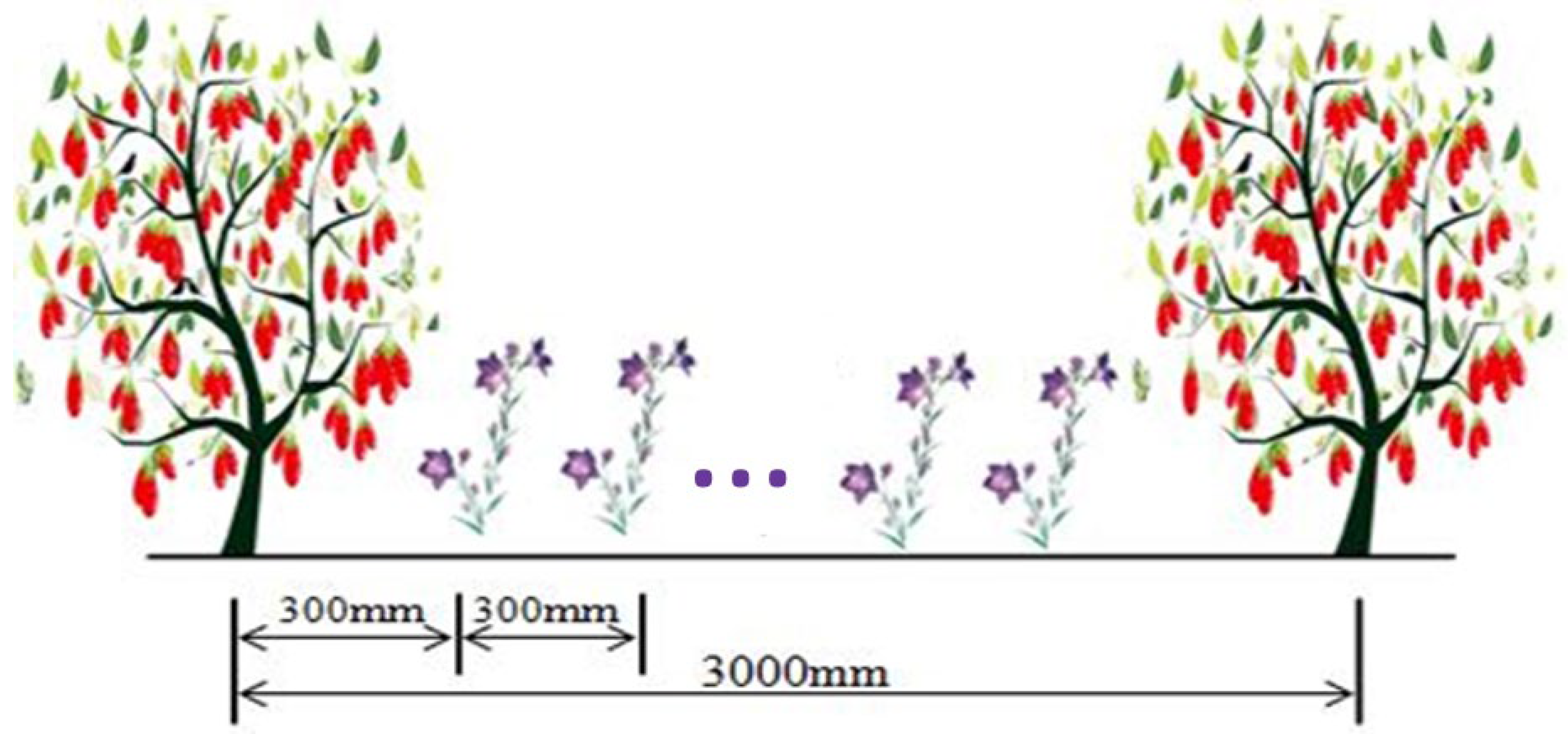Plants 13 02374 g008