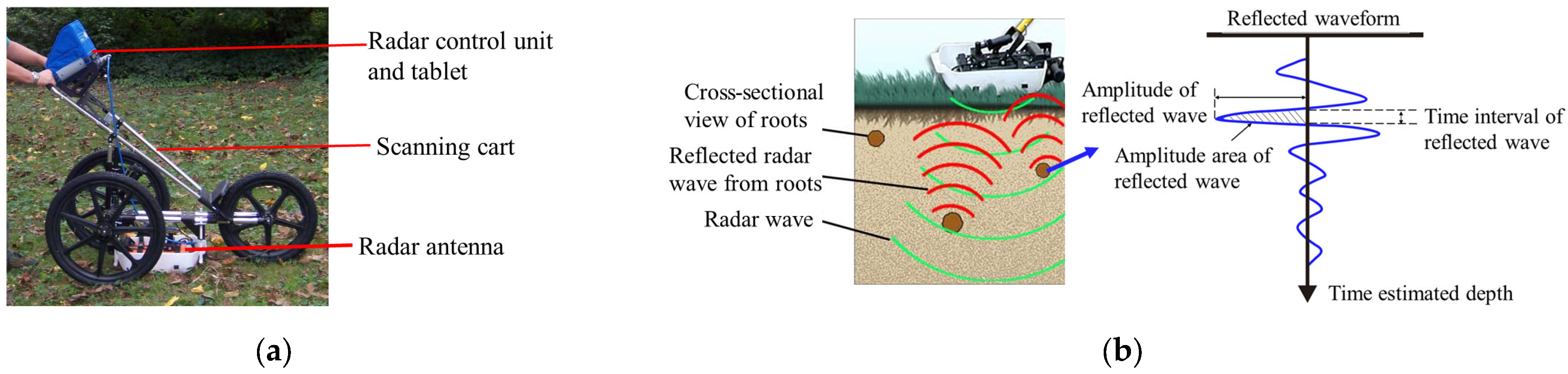 Plants 13 02377 g002