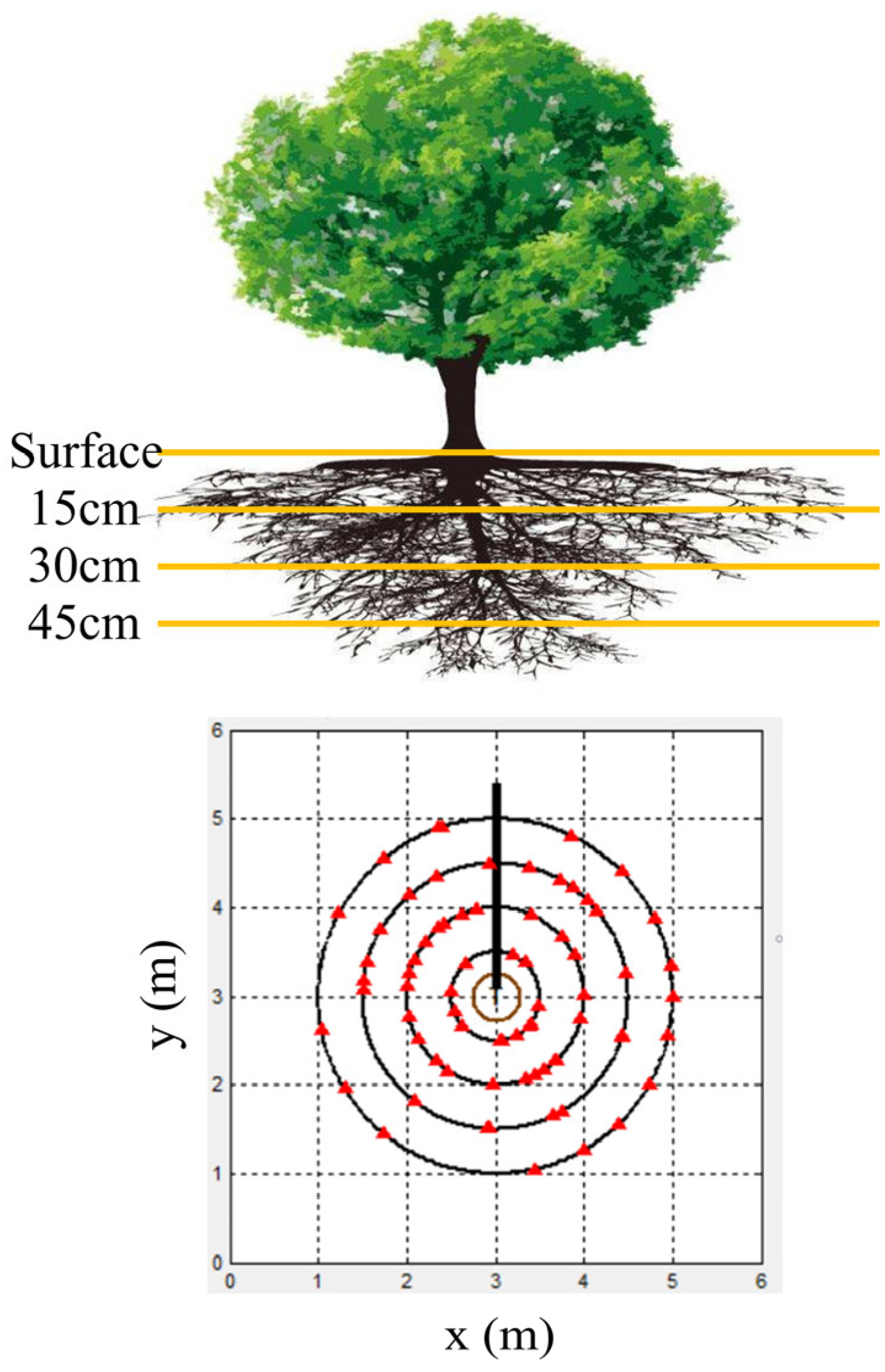 Plants 13 02377 g003