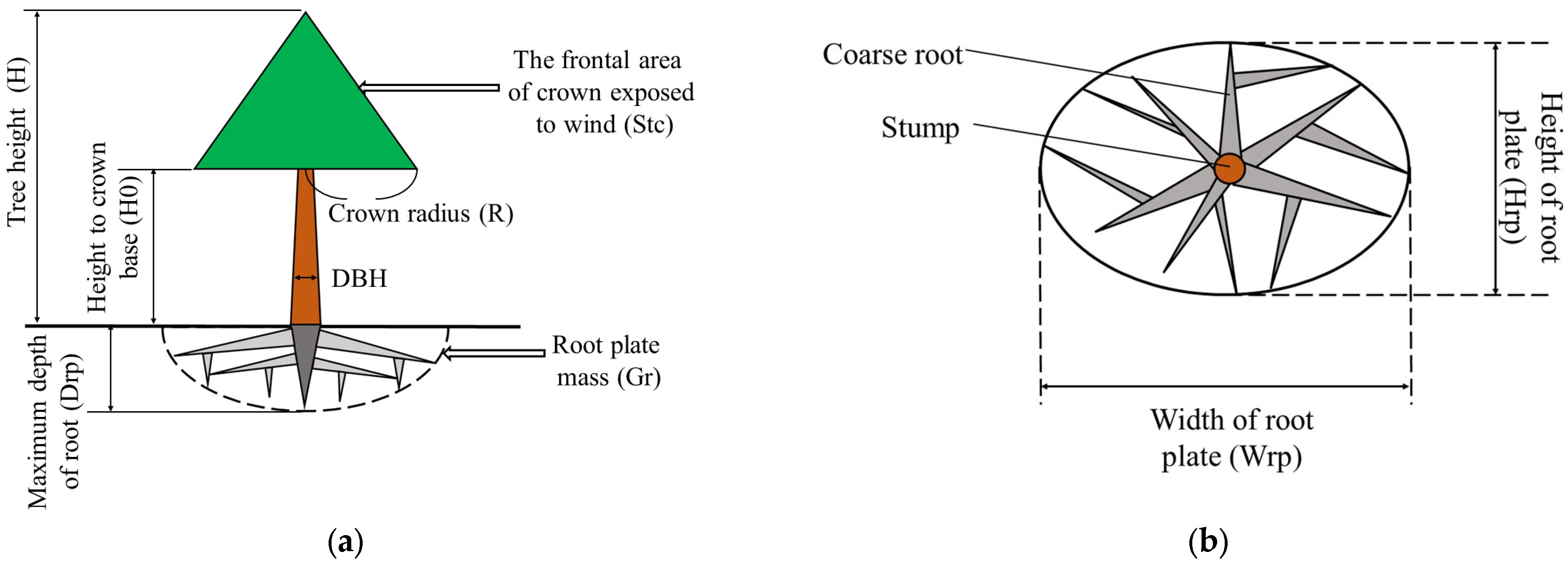 Plants 13 02377 g005