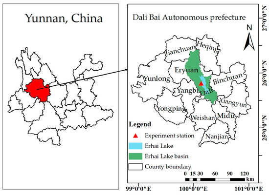 Effects of Paddy Rain-Flood Storage on Rice Growth Physiological