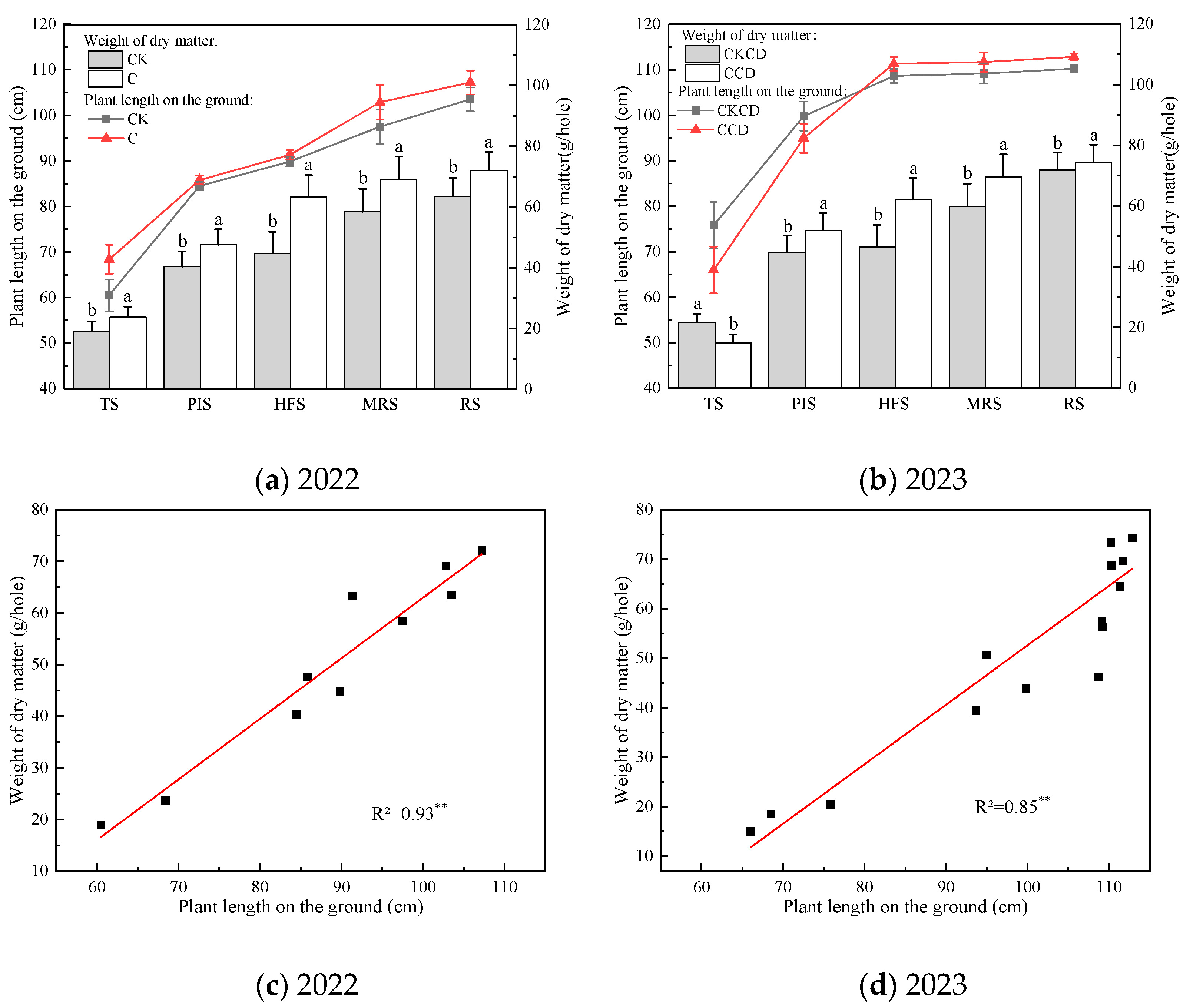 Plants 13 02381 g004