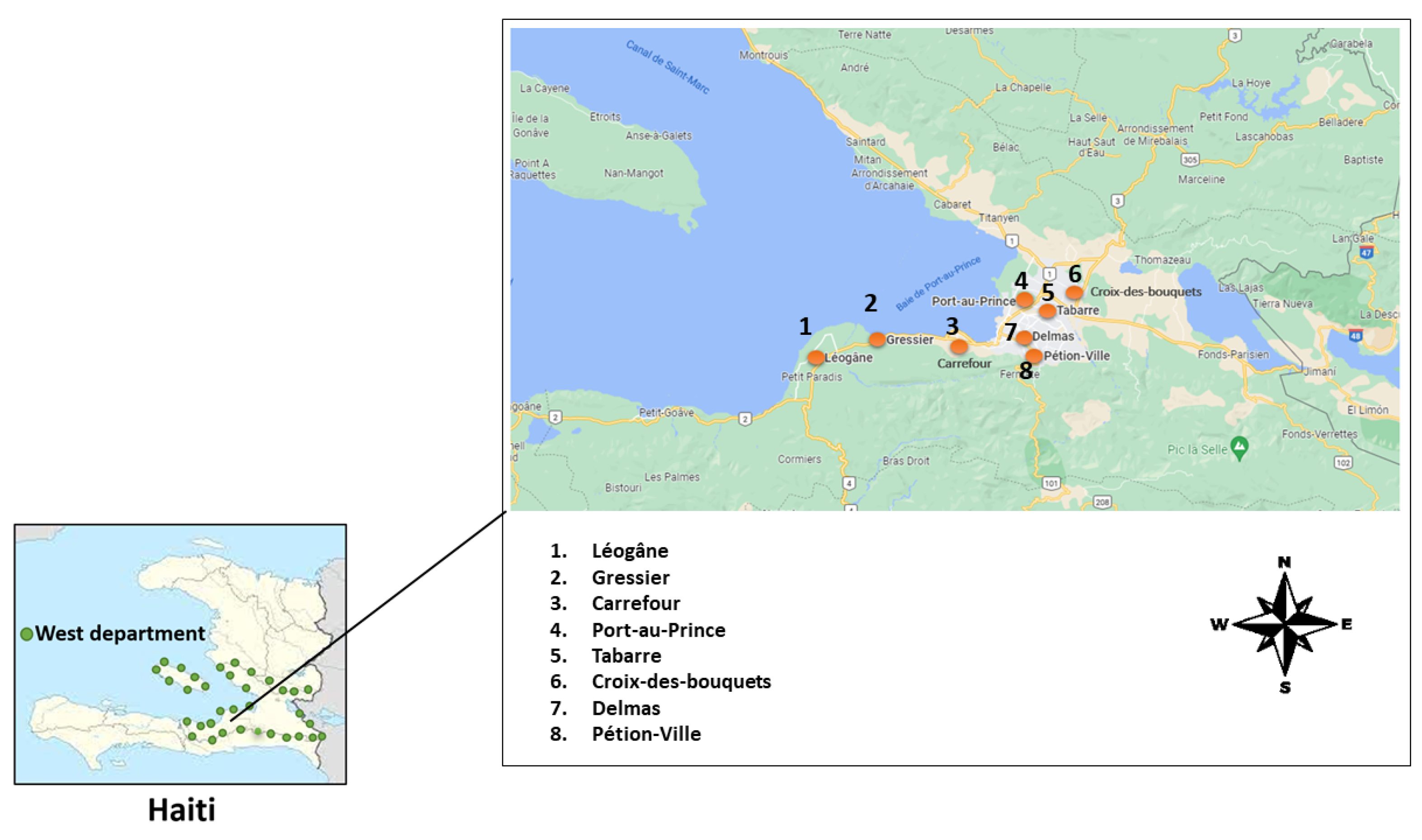 Plants 13 02383 g001